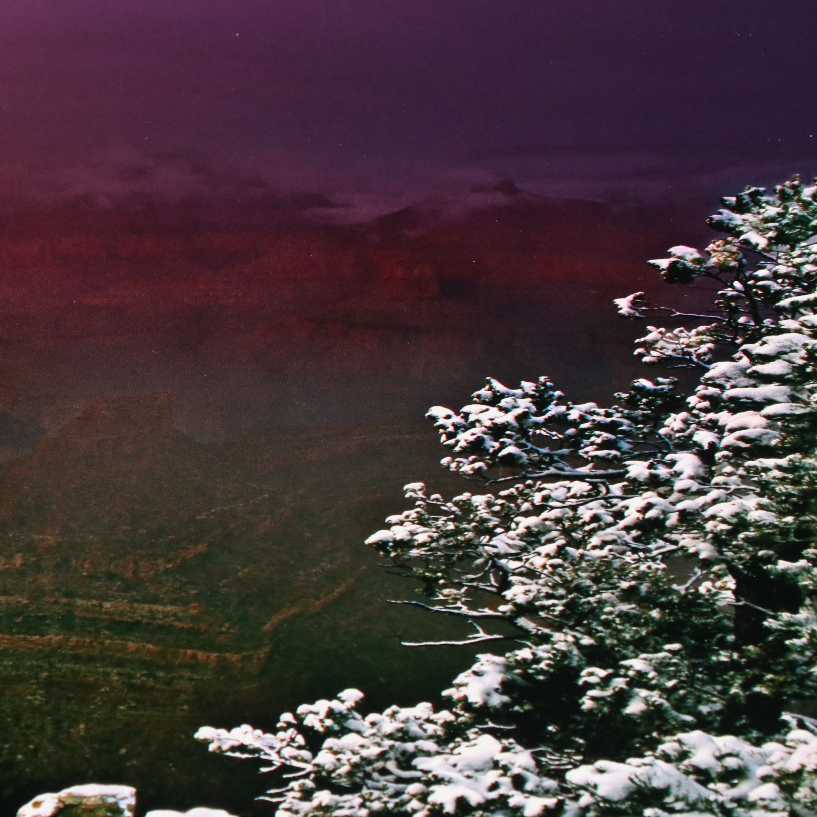 Richard Buchbinder Digital Chromogenic Print "Grand Canyon Winter," 2004