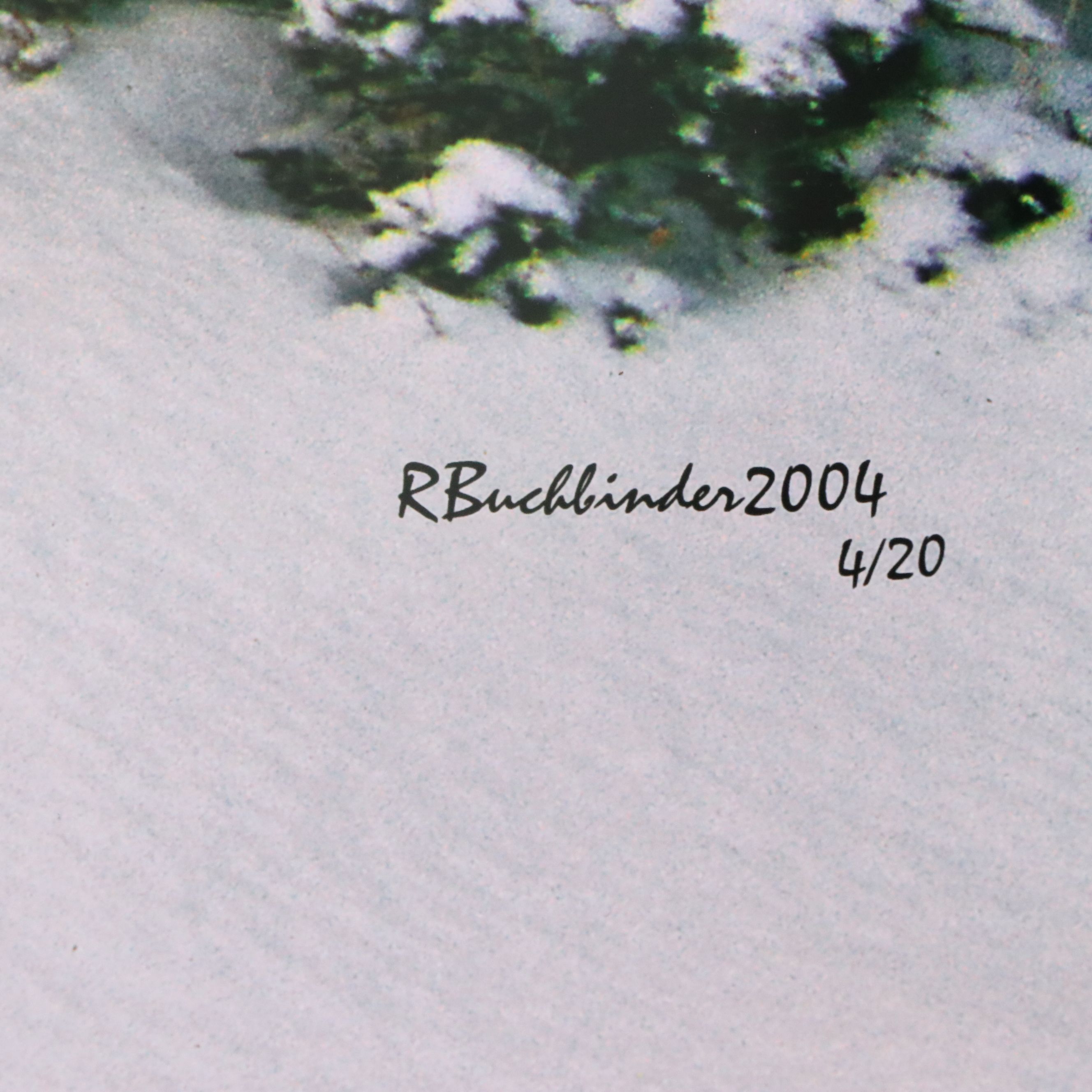 Richard Buchbinder Digital Chromogenic Print "Grand Canyon Winter," 2004