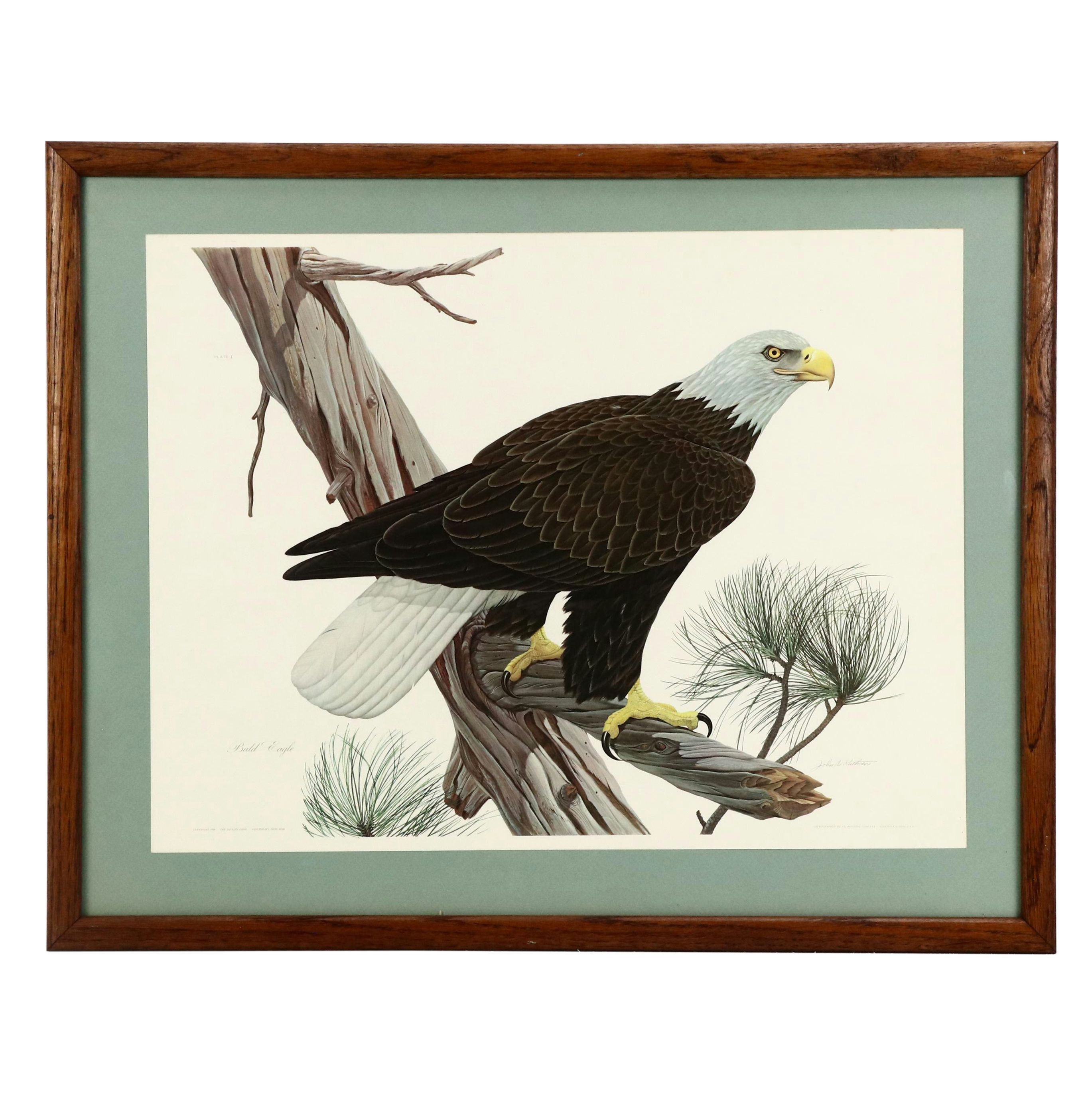 After John Ruthven Offset Lithograph "Bald Eagle"