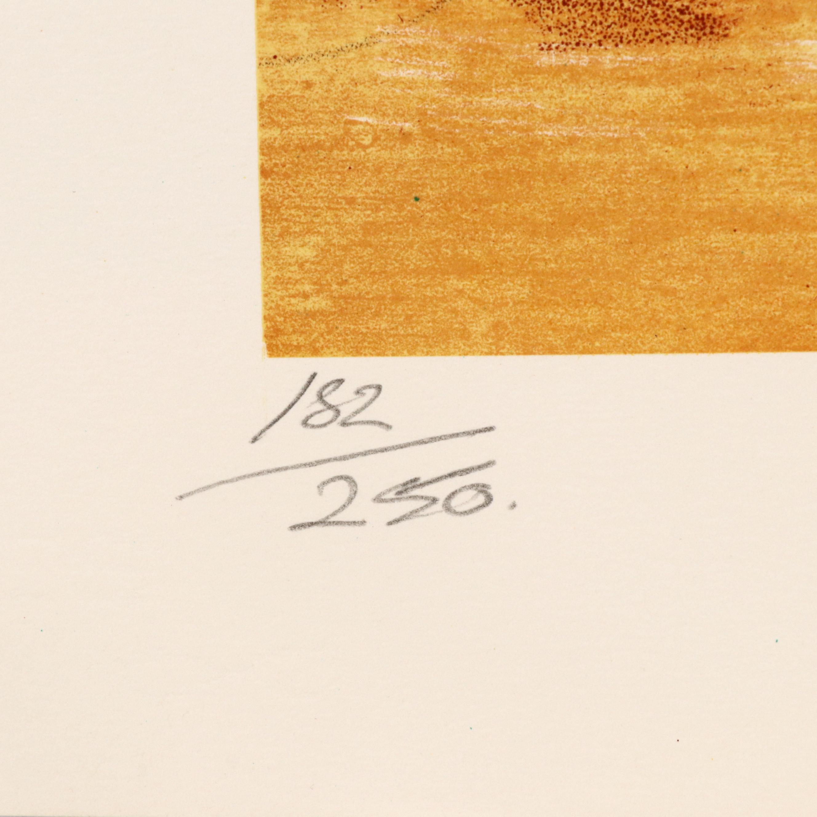 Sandra Lawrence Still Life Lithographs