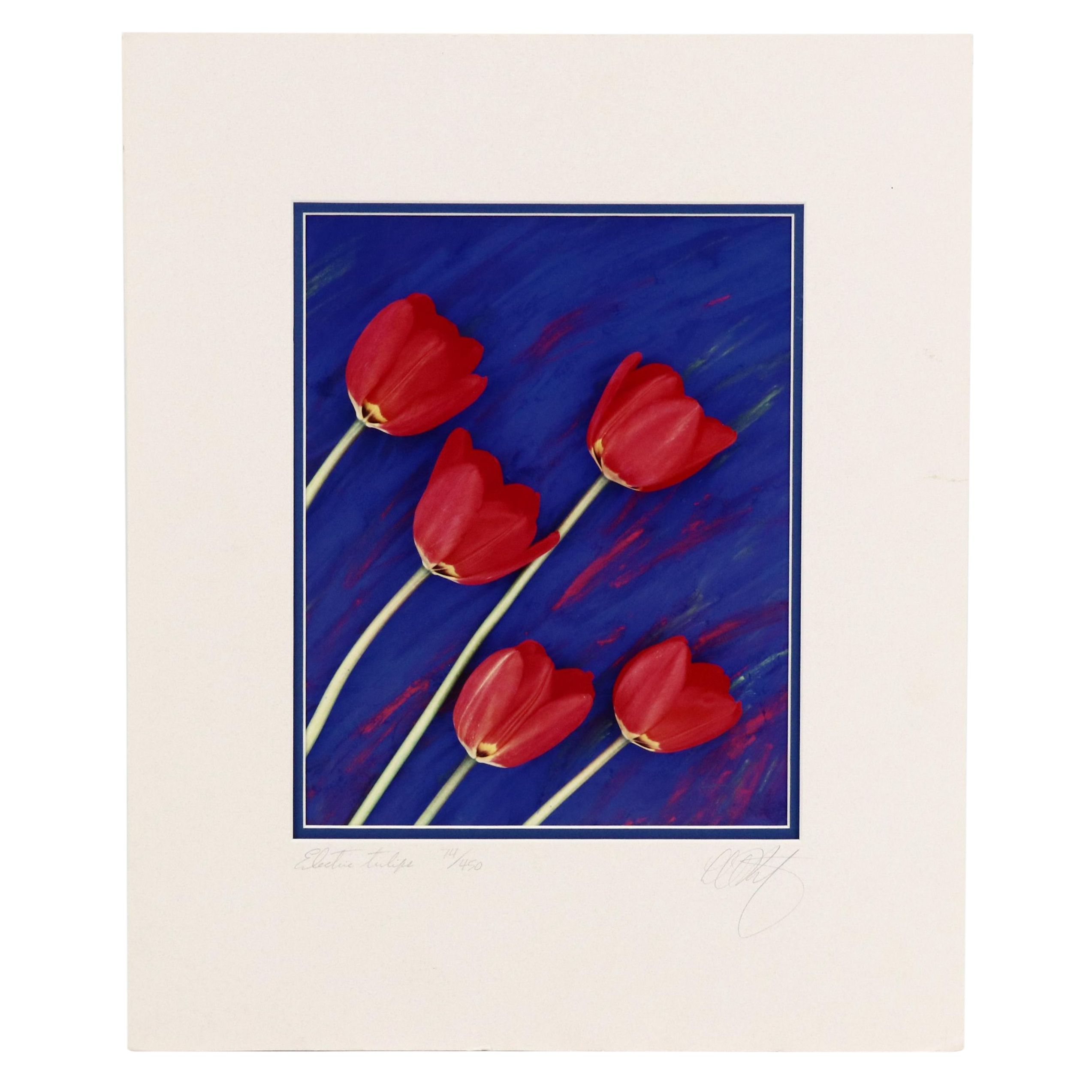 Lee Rentz Floral Digital Photograph "Electric Tulips"