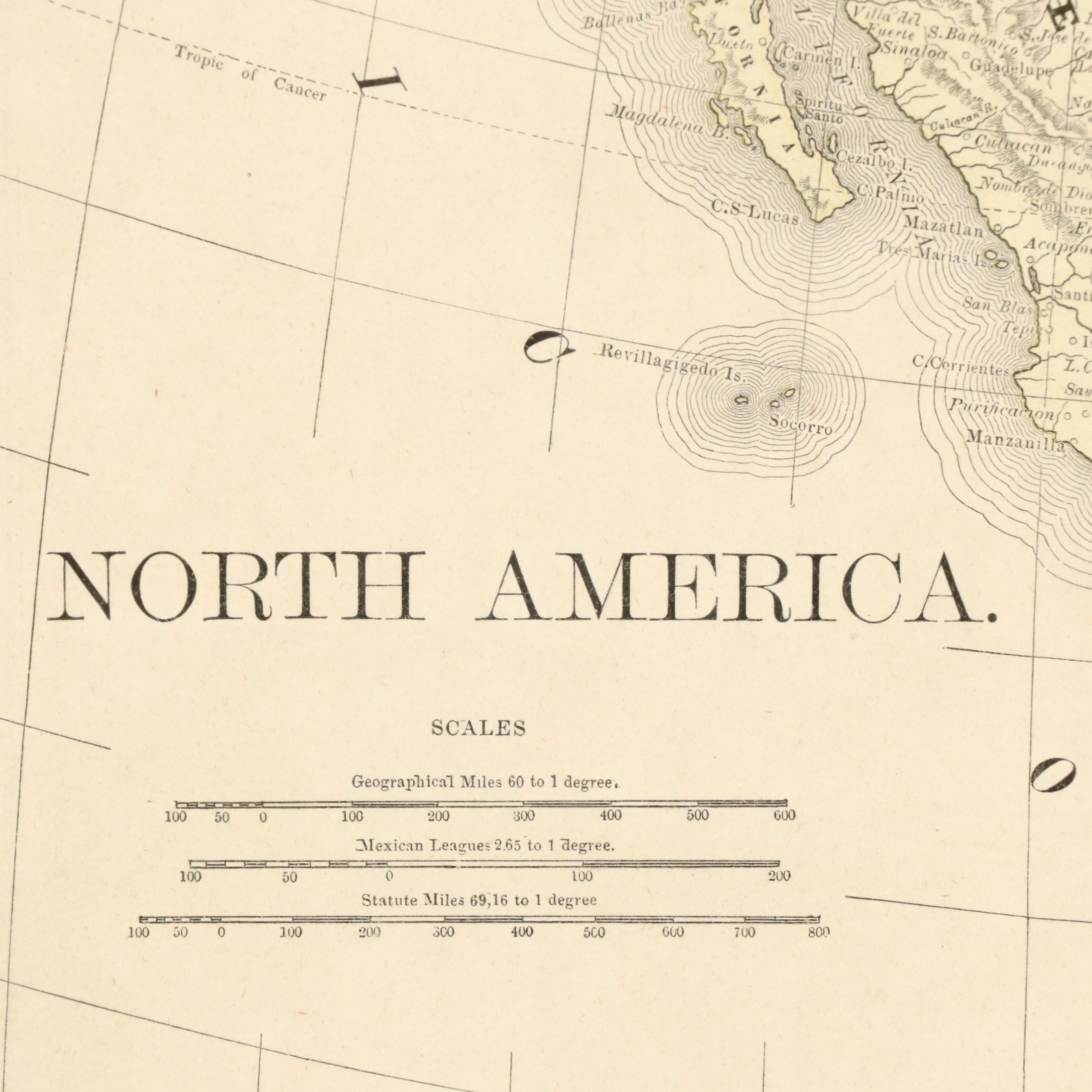 Rand, McNally & Company Wood Engraving Map "North America"