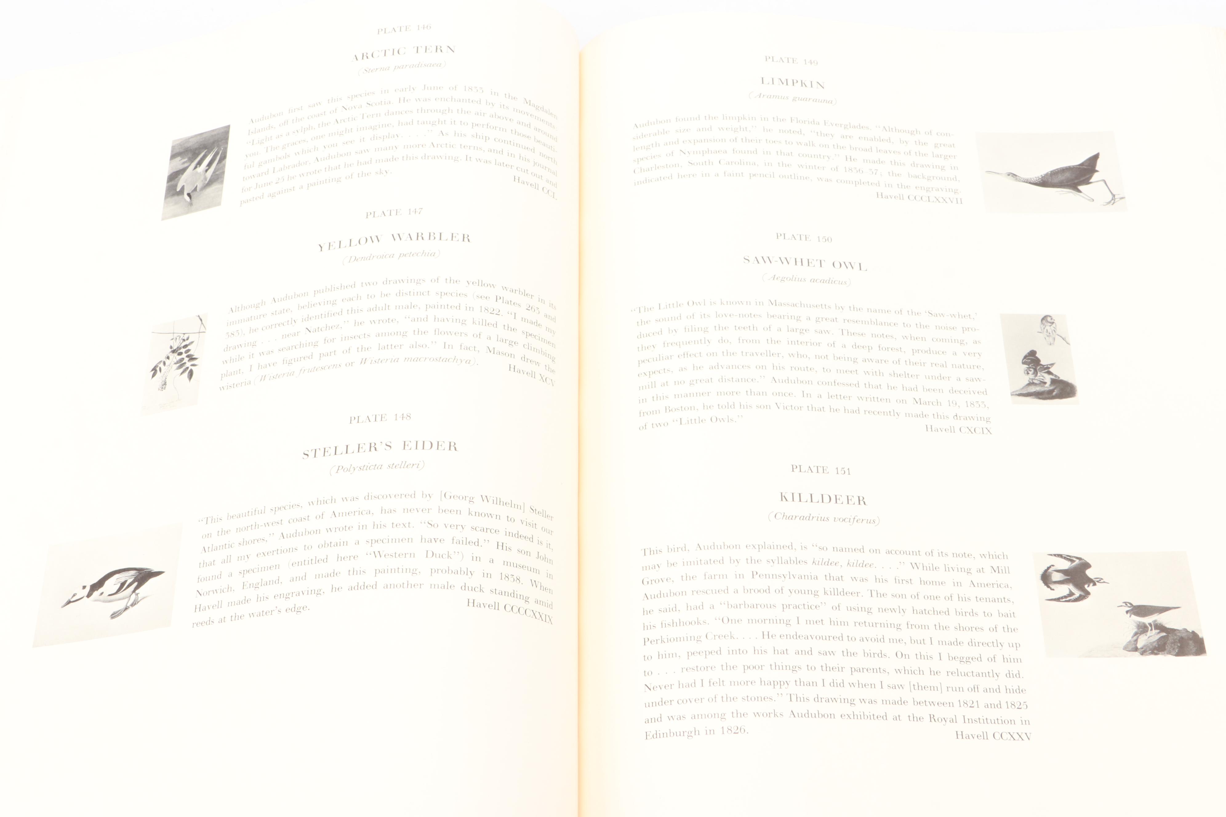 "The Original Water-Color Paintings by John James Audubon" by Marshall Davidson