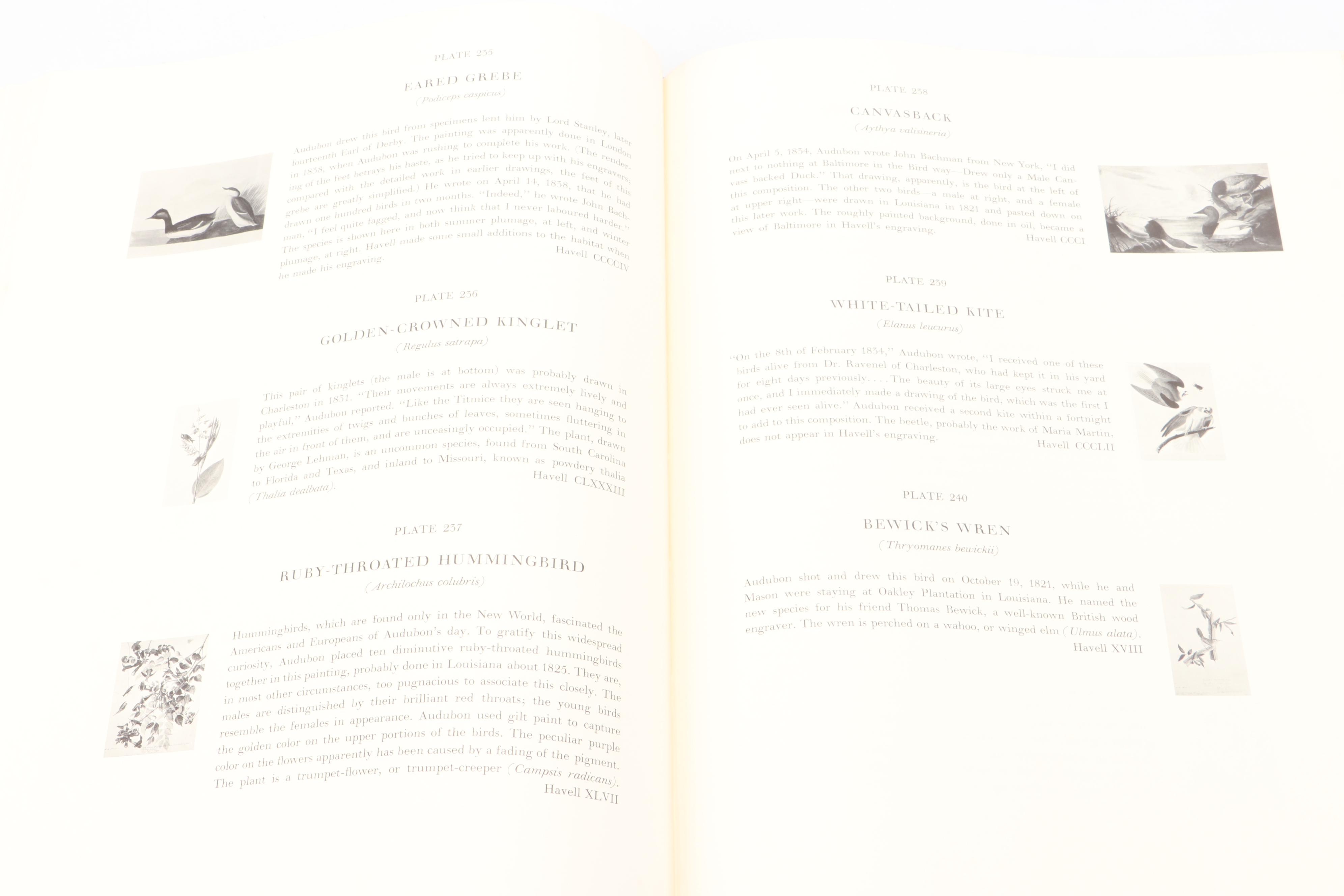 "The Original Water-Color Paintings by John James Audubon" by Marshall Davidson