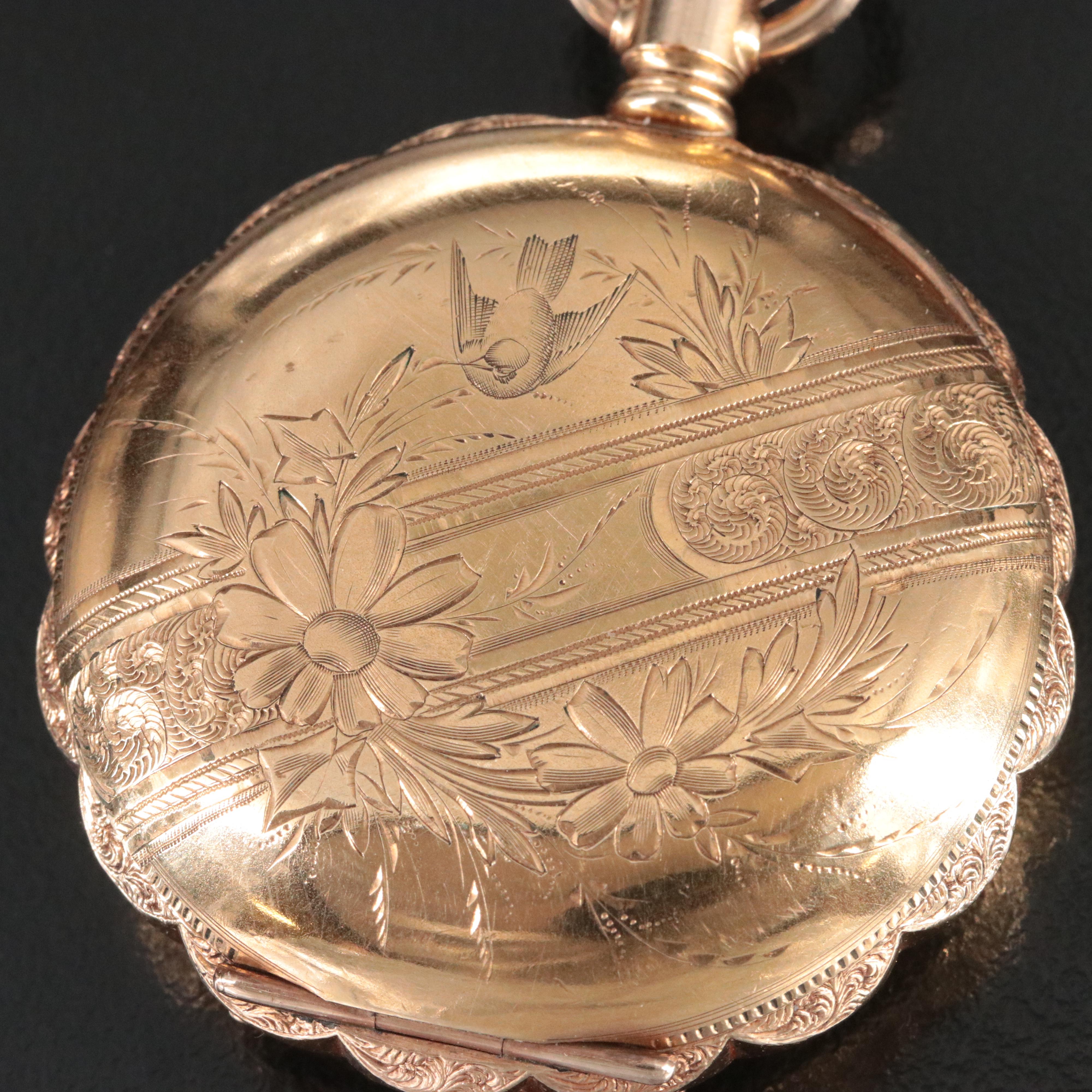 1894 Elgin Ornate Gold-Filled Pocket Watch in Display Case