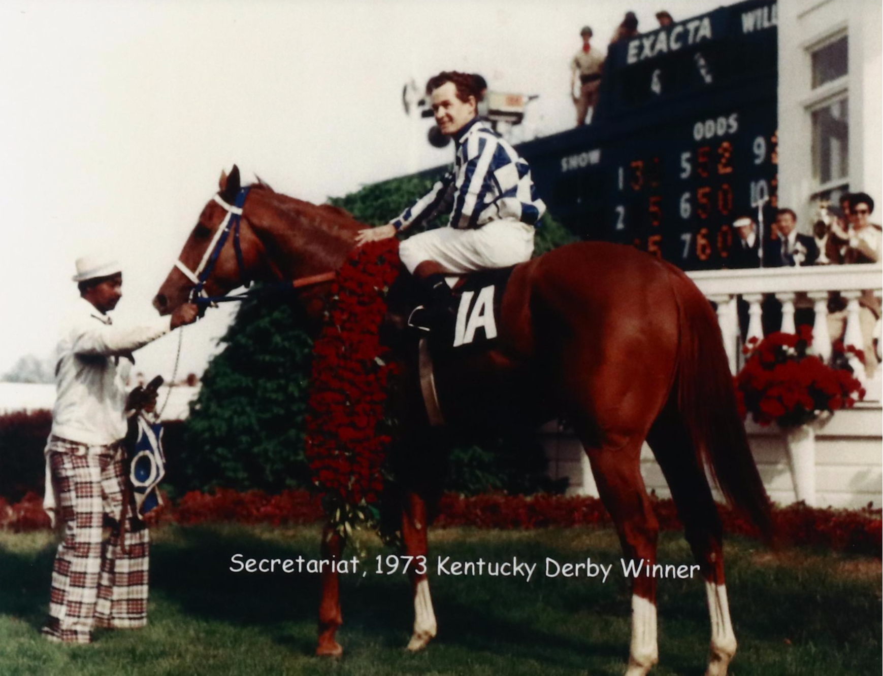 Digital Photograph "Secretariat, 1972 Kentucky Derby Winner"