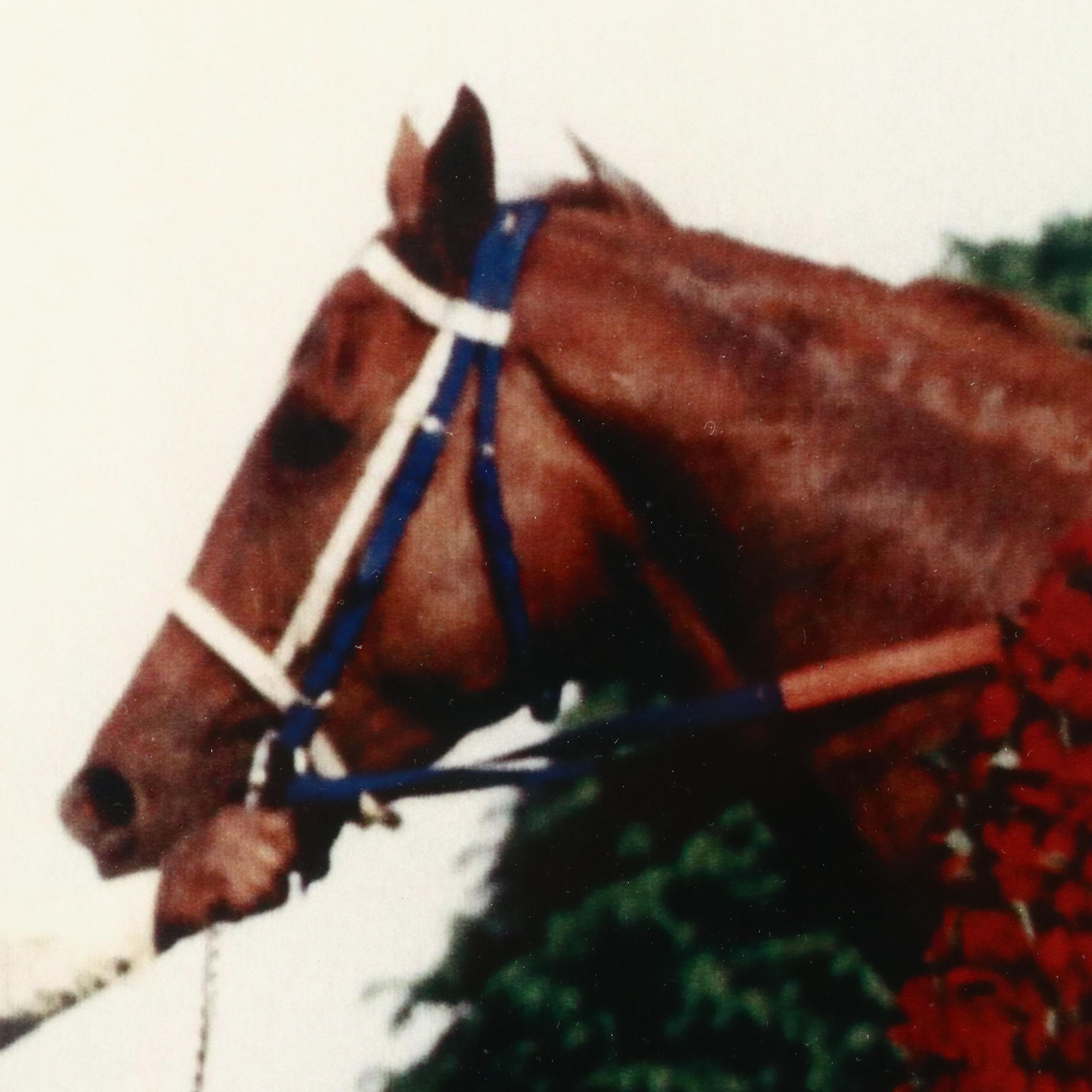 Digital Photograph "Secretariat, 1972 Kentucky Derby Winner"