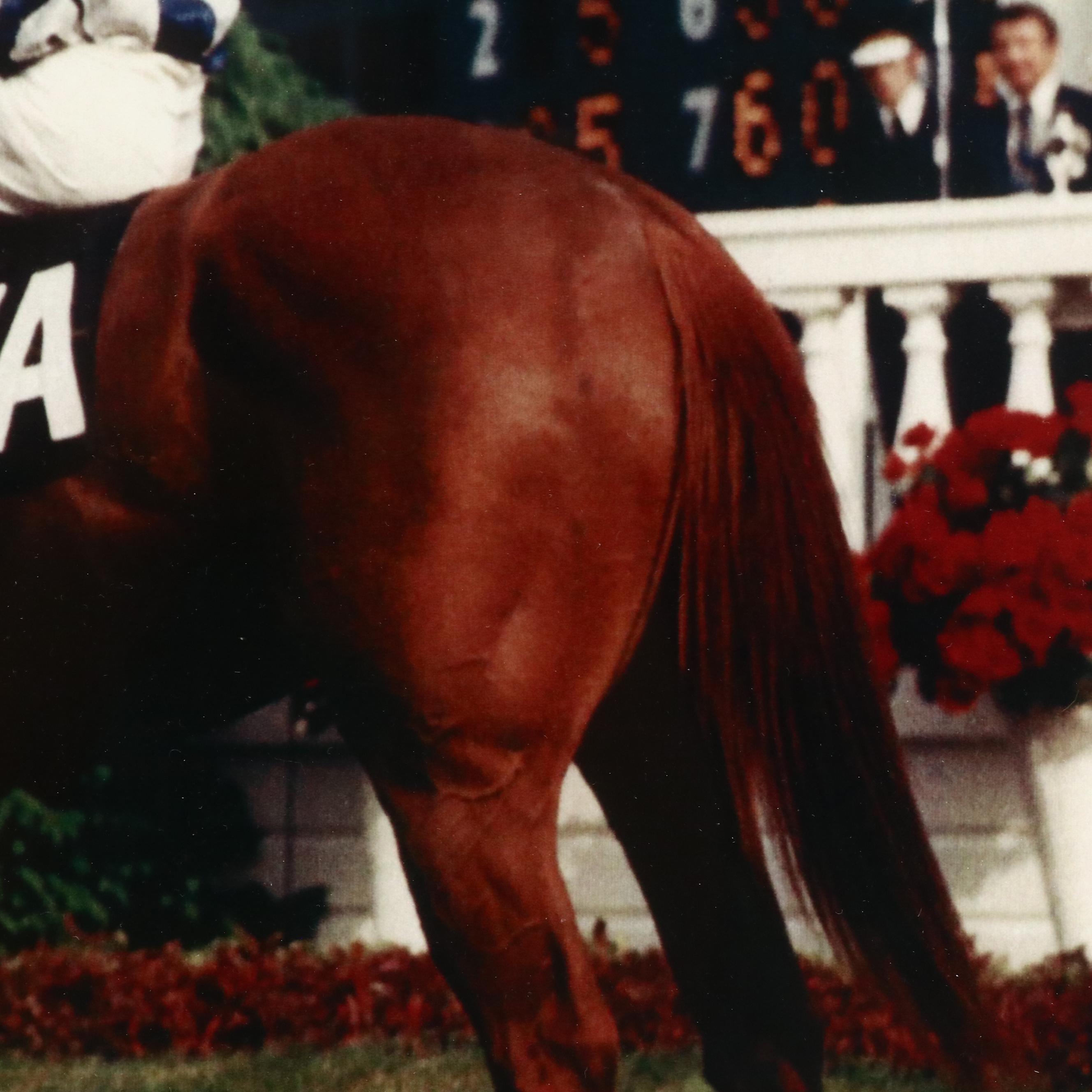 Digital Photograph "Secretariat, 1972 Kentucky Derby Winner"