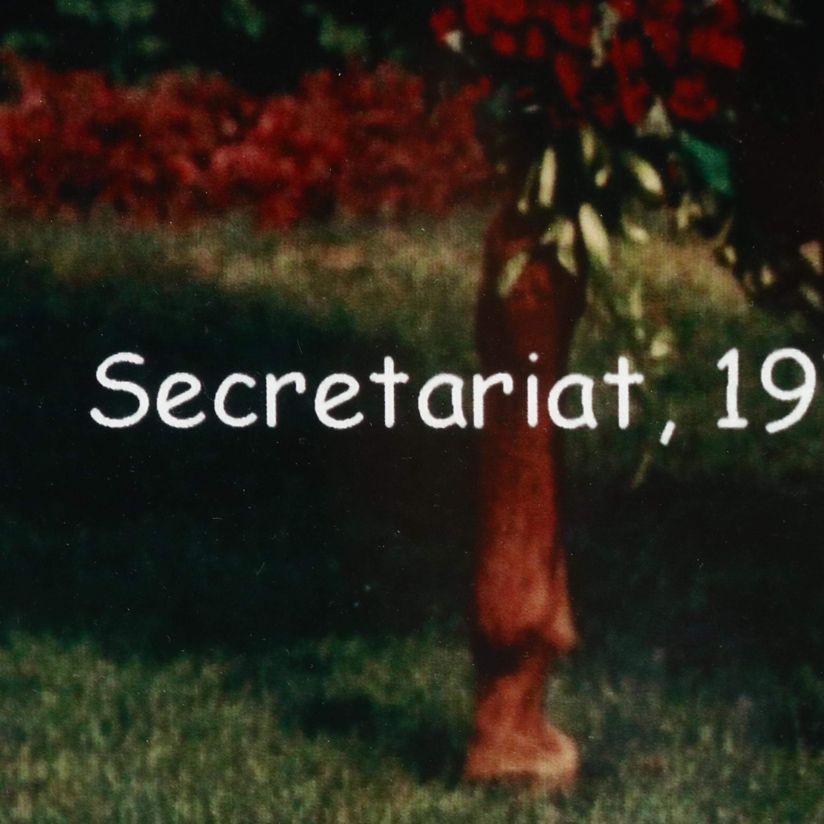 Digital Photograph "Secretariat, 1972 Kentucky Derby Winner"