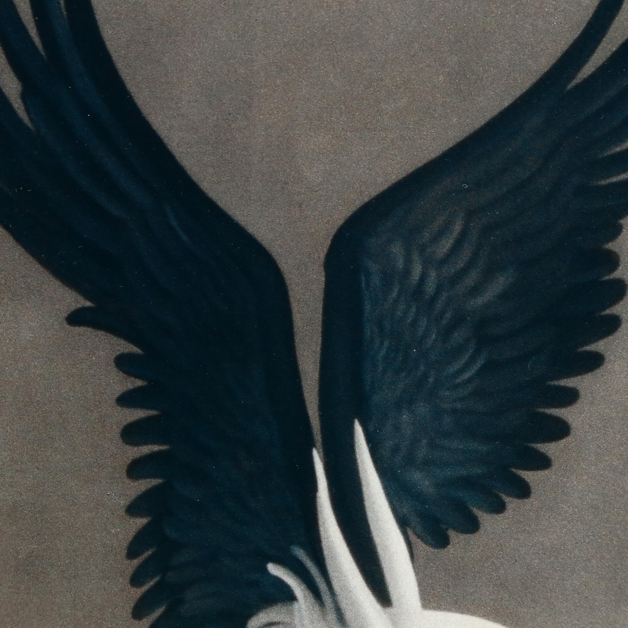 Surrealist Style Offset Lithograph After Michael Parkes "Mars"