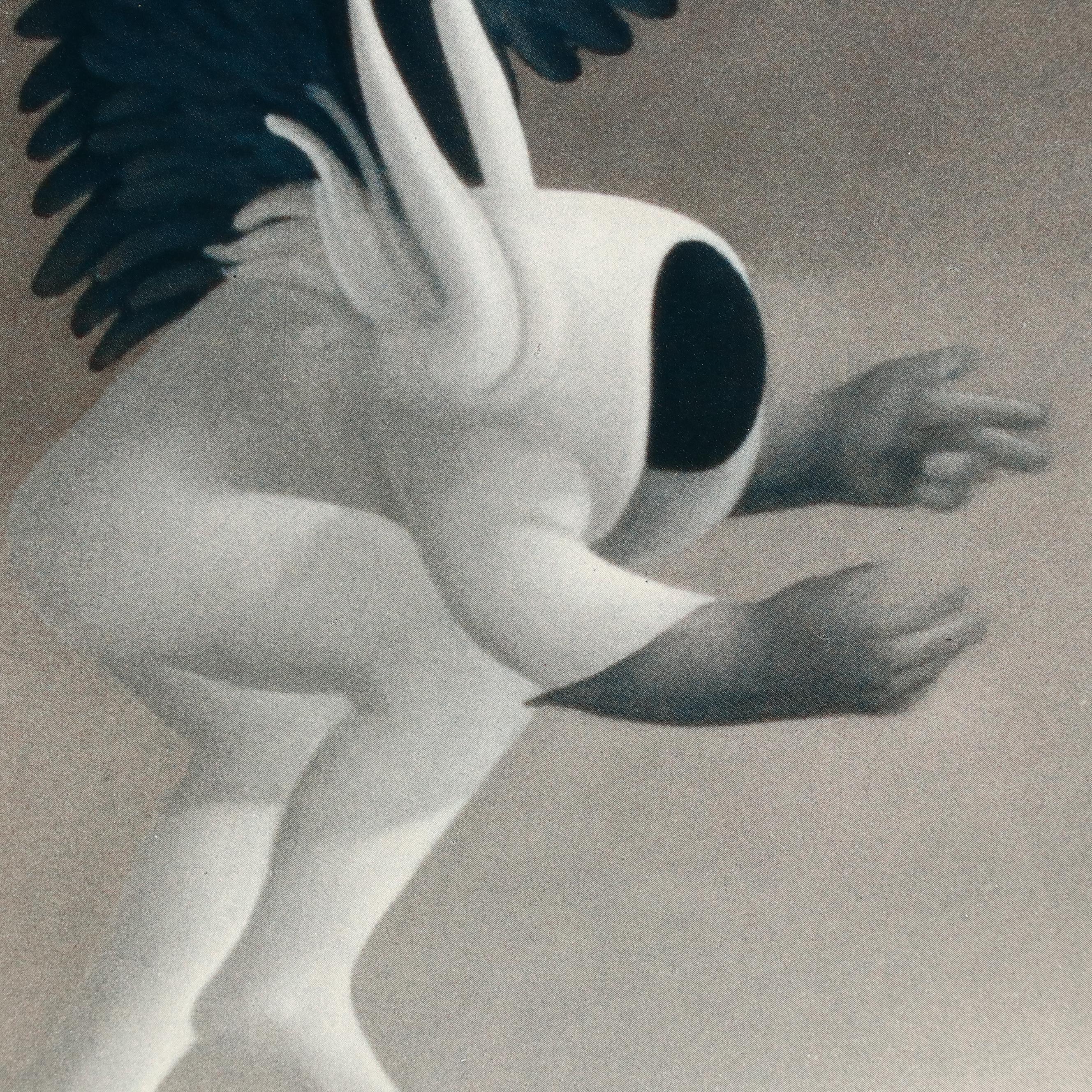 Surrealist Style Offset Lithograph After Michael Parkes "Mars"