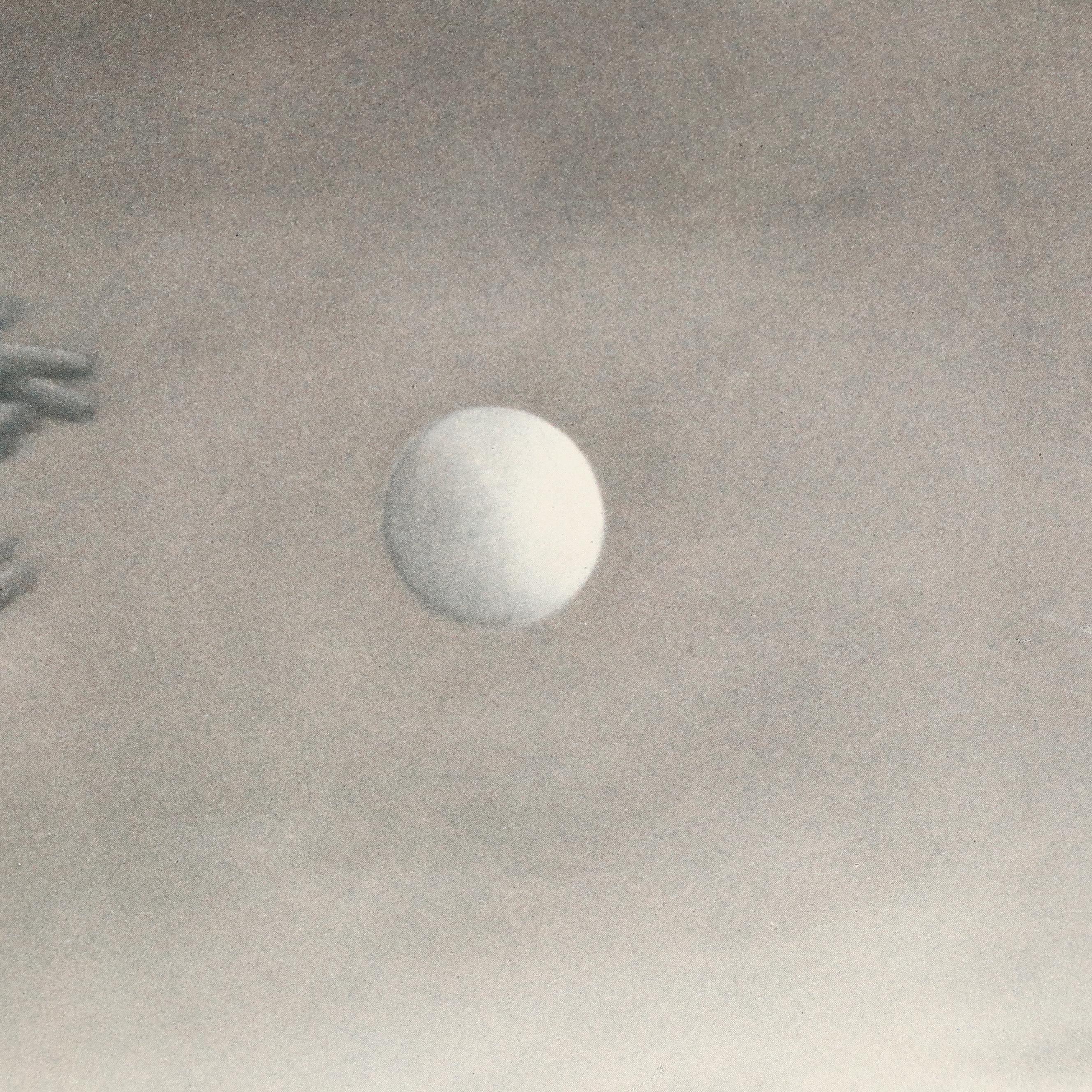 Surrealist Style Offset Lithograph After Michael Parkes "Mars"