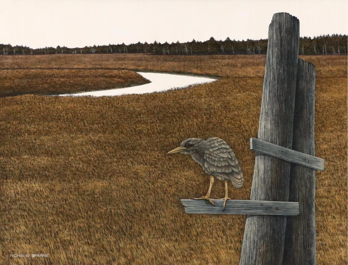Richard Sparre Tempera Painting of  Shorebird in Marsh Landscape, Circa 1980