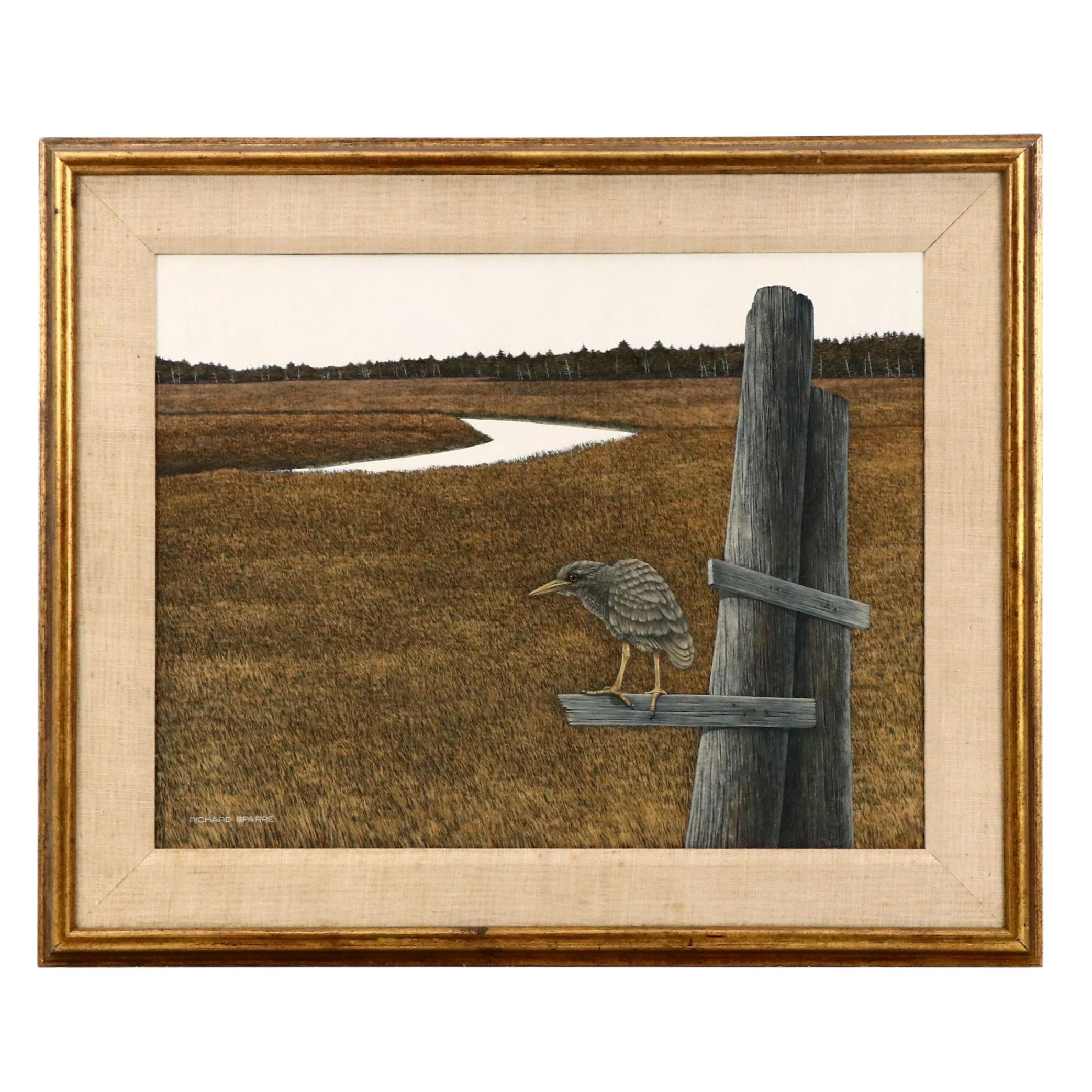 Richard Sparre Tempera Painting of  Shorebird in Marsh Landscape, Circa 1980