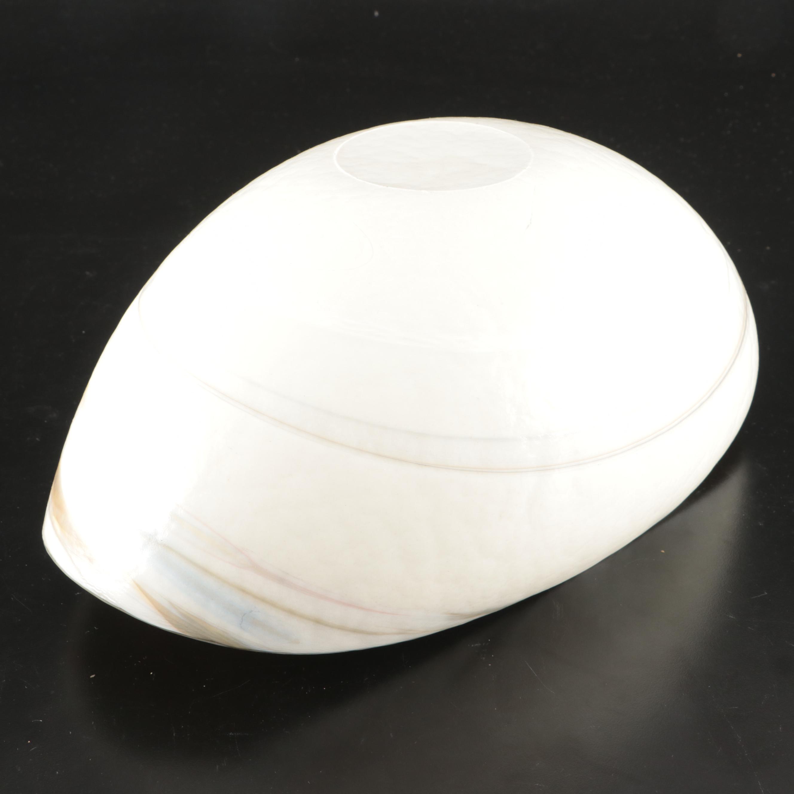 Murano Art Glass Luster Decorative Shell Shaped Bowl