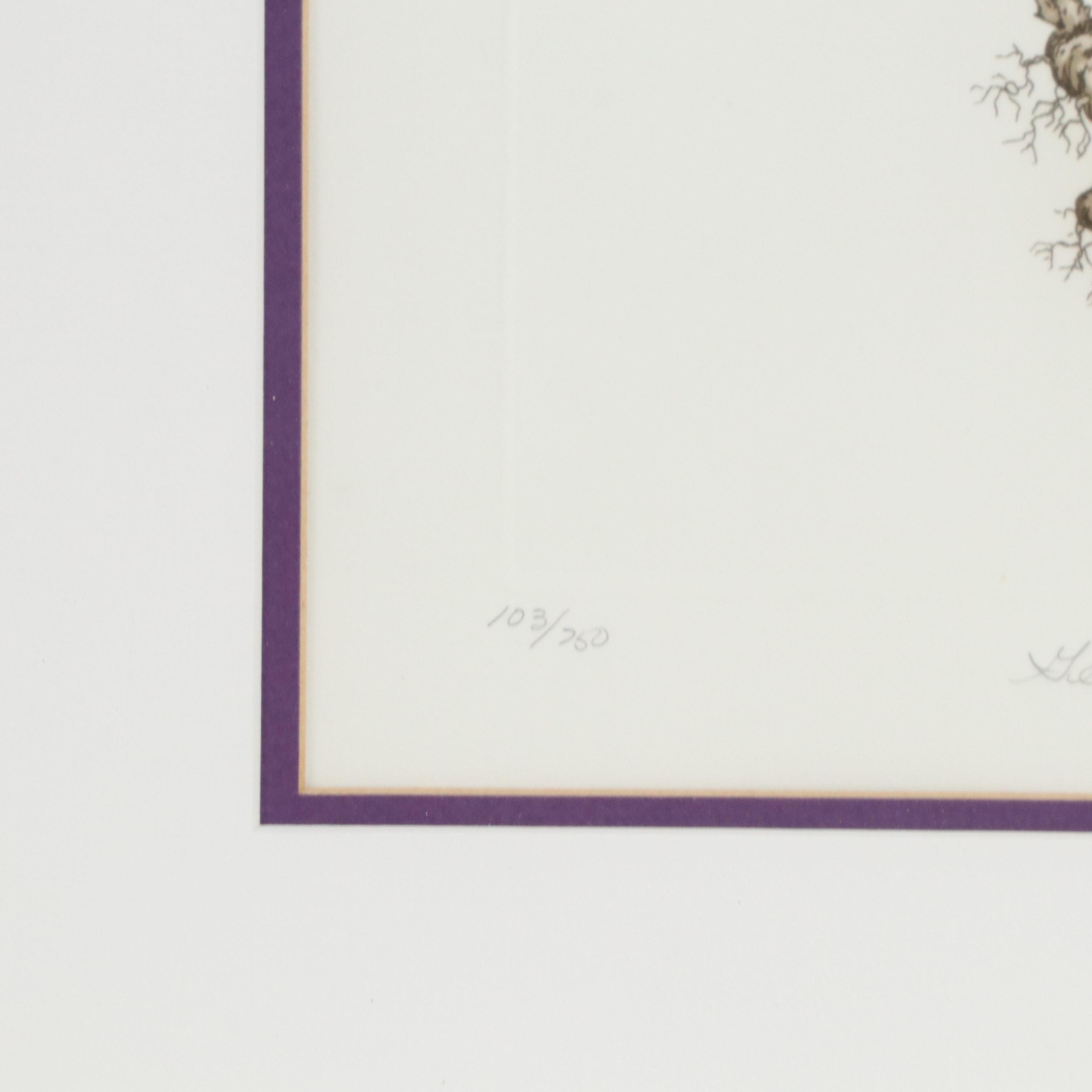 Martha Hinson Botanical Engravings "Tulip Liliaceae" and More