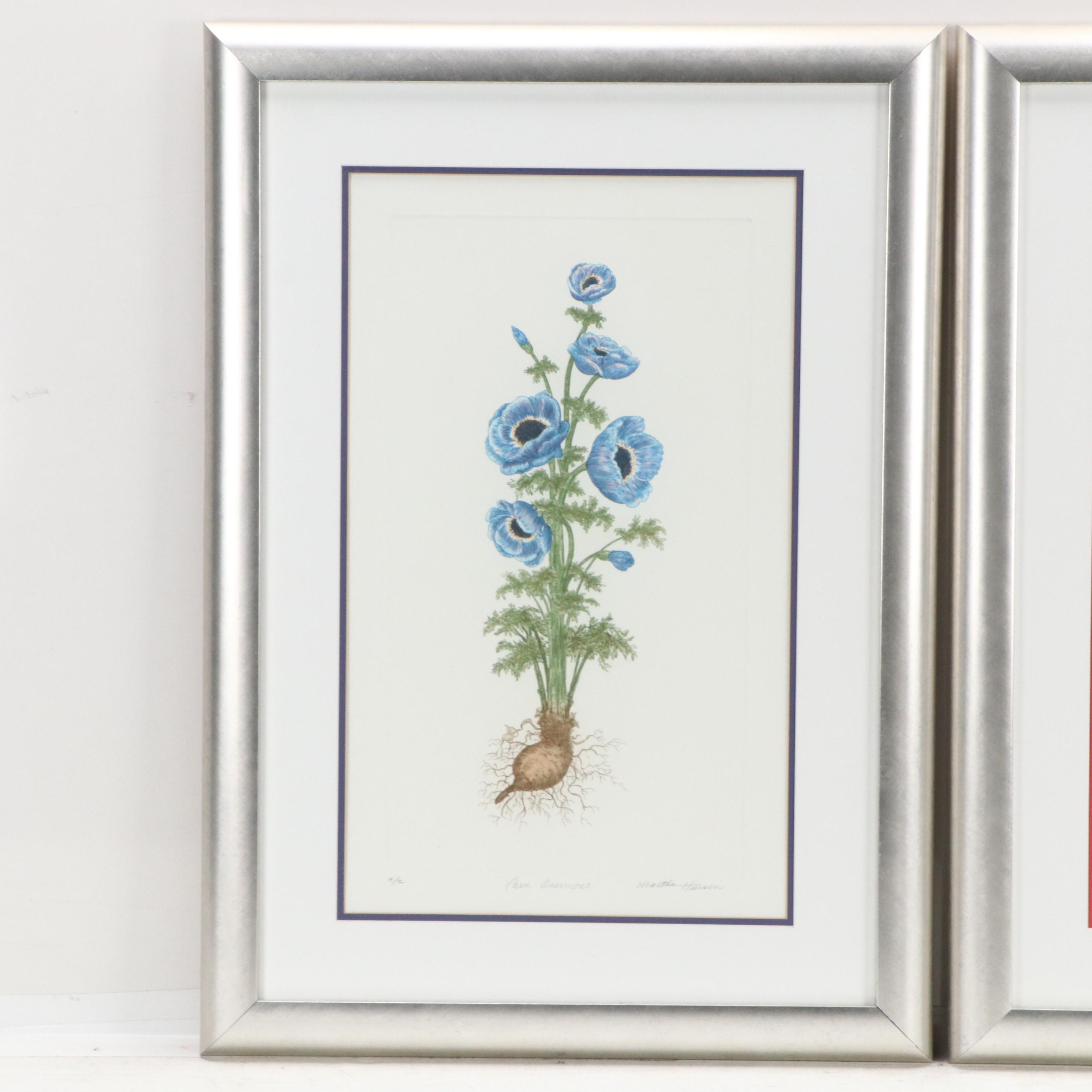 Martha Hinson Botanical Engravings "Tulip Liliaceae" and More