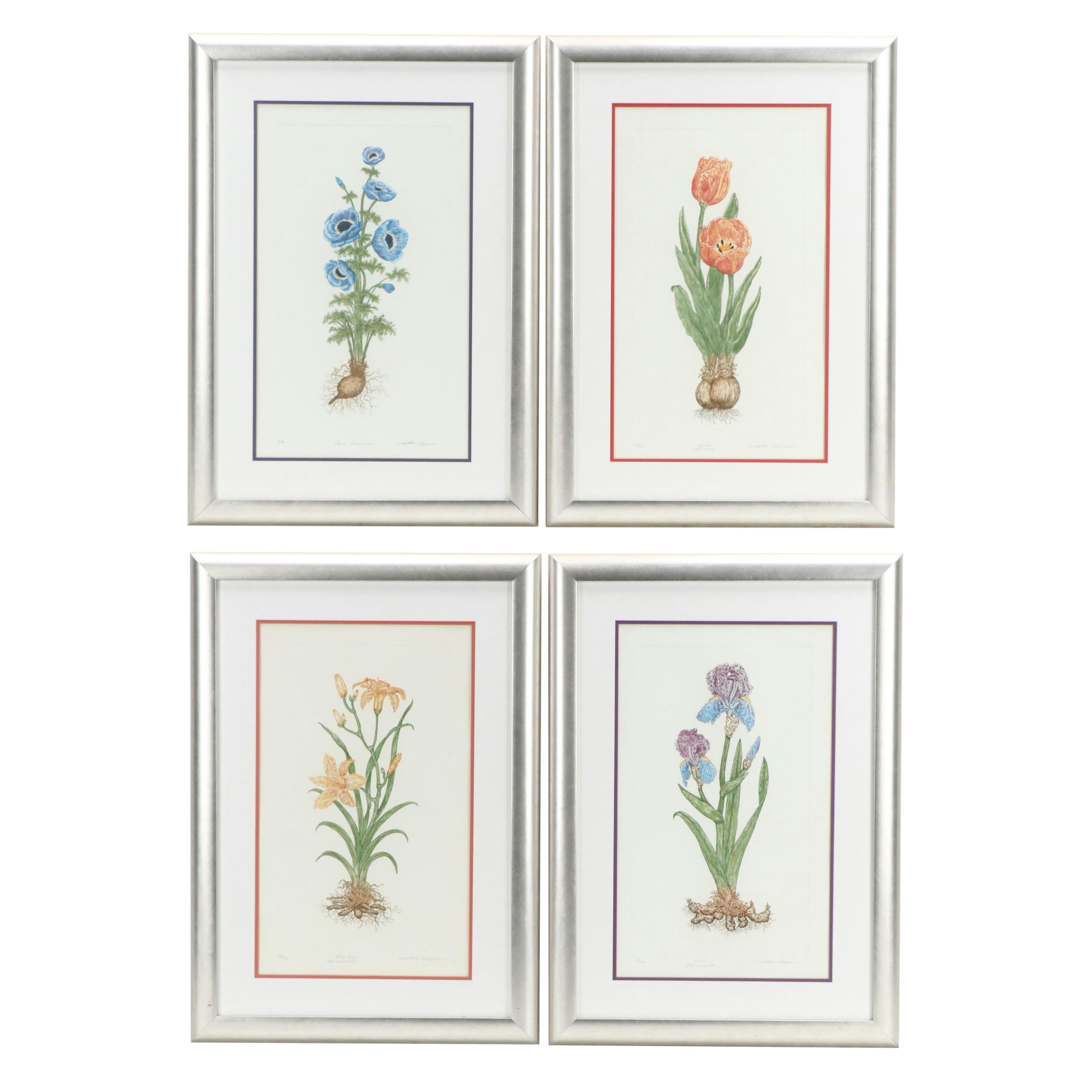 Martha Hinson Botanical Engravings "Tulip Liliaceae" and More