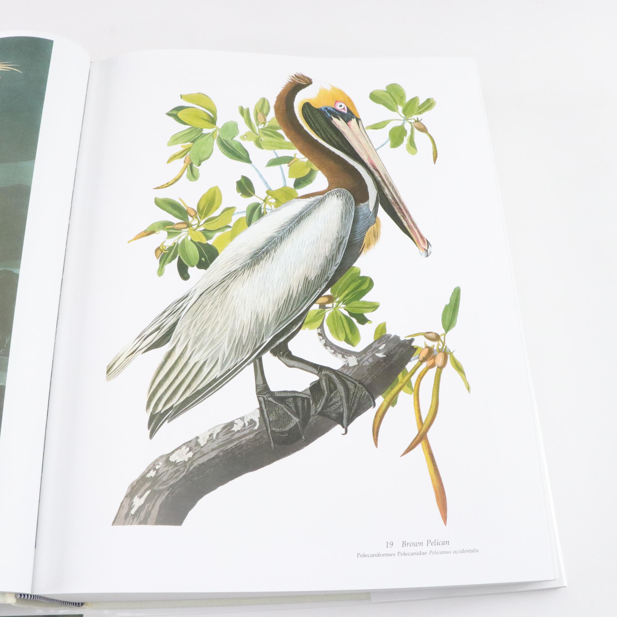 The National Audubon Society Baby Elephant Folio of "Audubon's Birds of America"