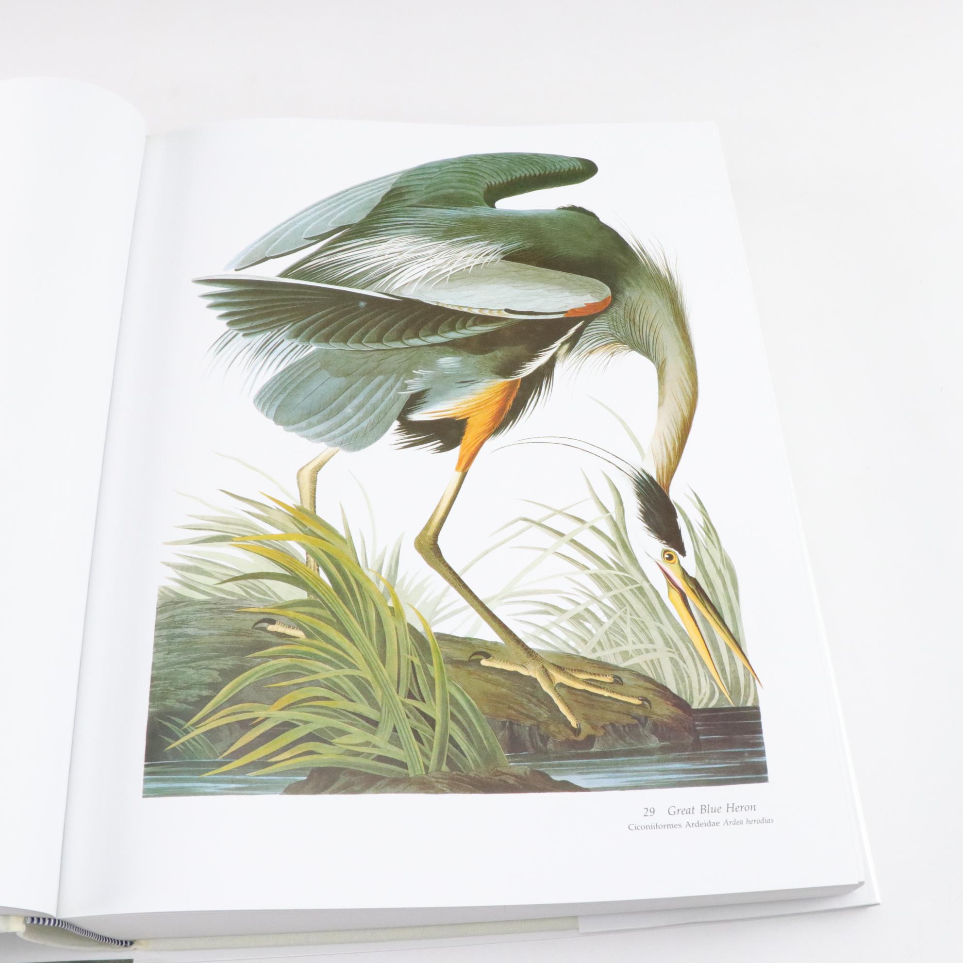 The National Audubon Society Baby Elephant Folio of "Audubon's Birds of America"
