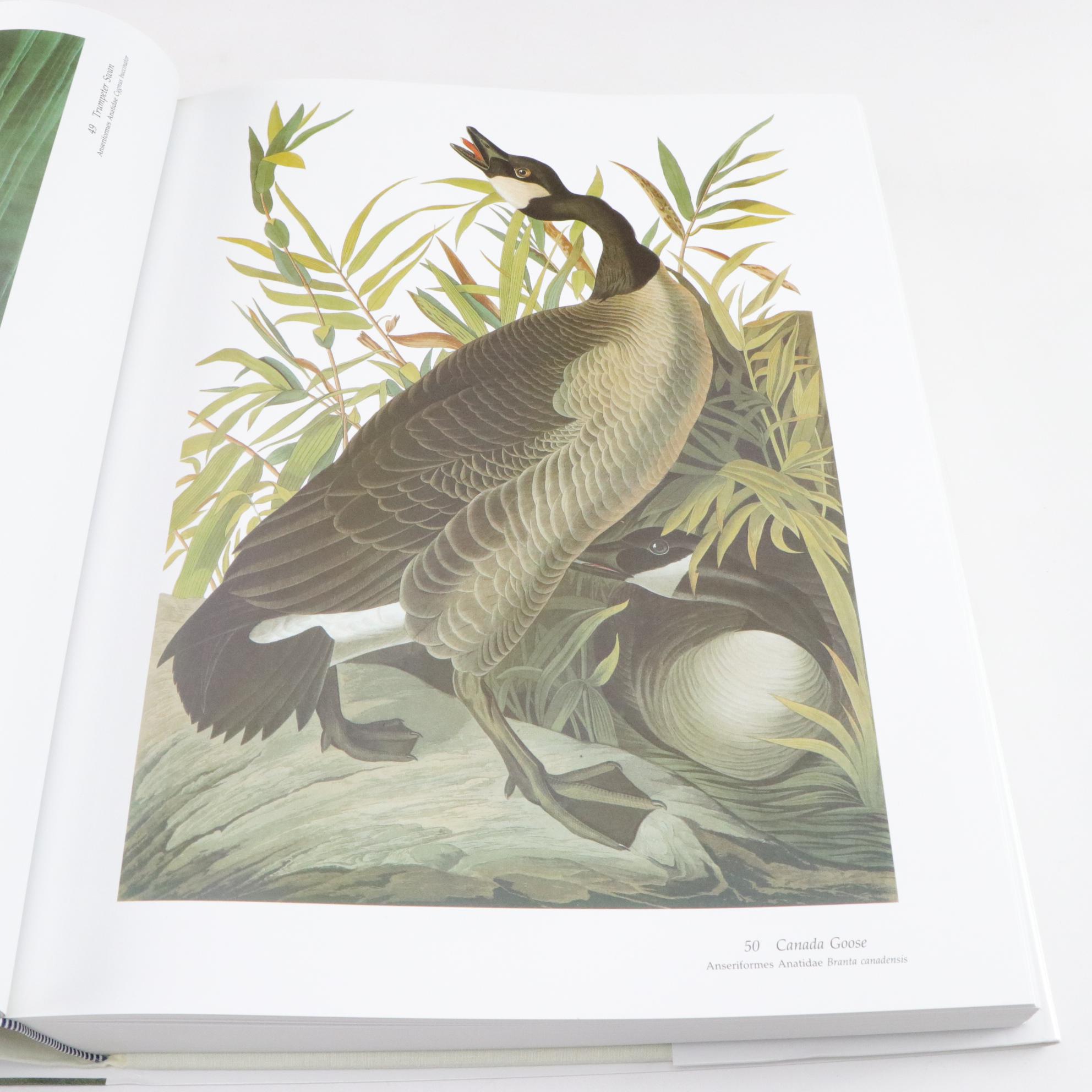 The National Audubon Society Baby Elephant Folio of "Audubon's Birds of America"