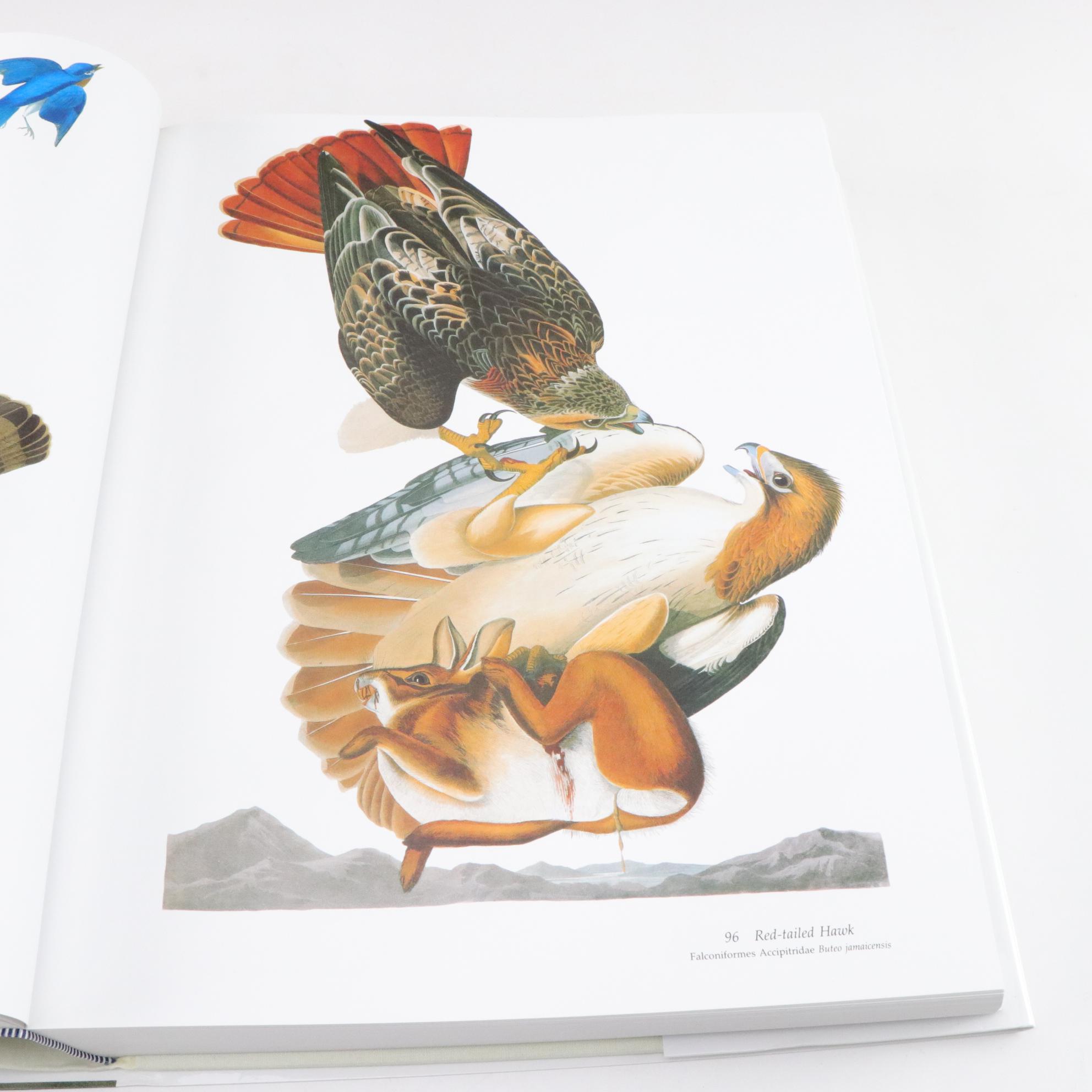 The National Audubon Society Baby Elephant Folio of "Audubon's Birds of America"