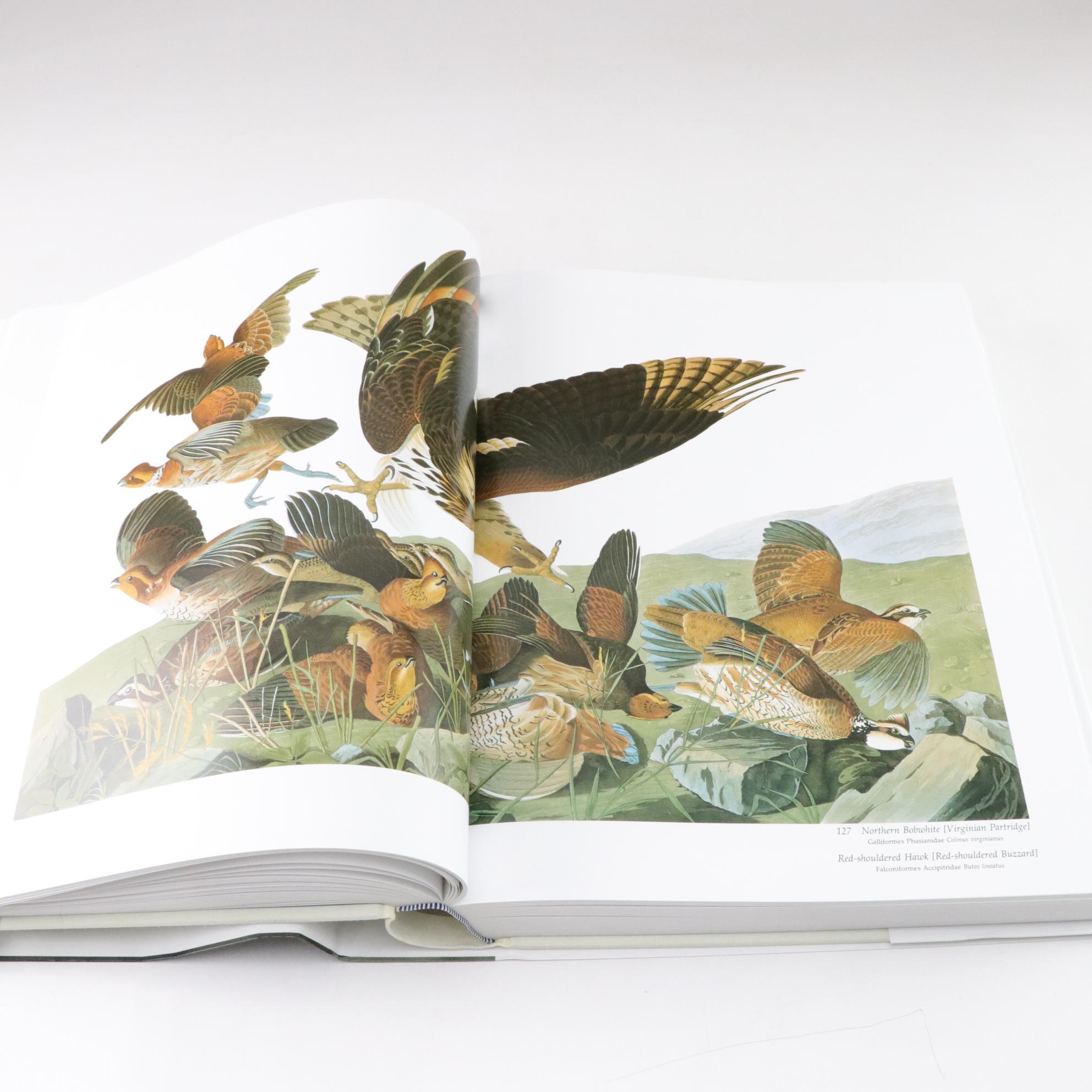 The National Audubon Society Baby Elephant Folio of "Audubon's Birds of America"