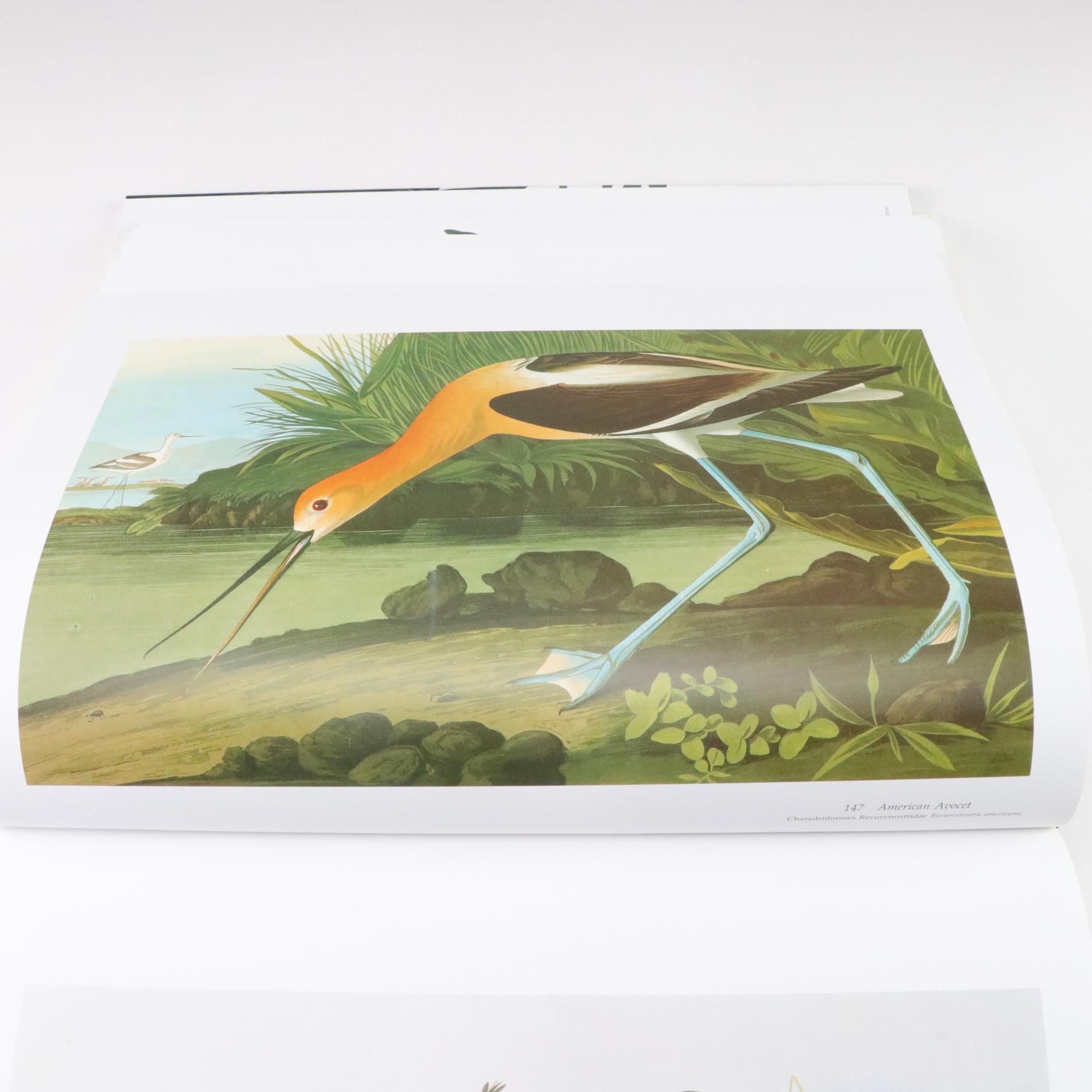 The National Audubon Society Baby Elephant Folio of "Audubon's Birds of America"