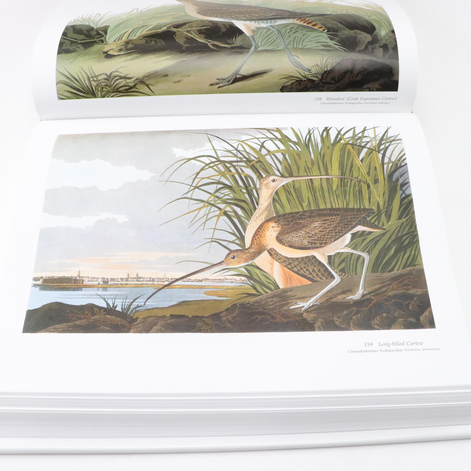 The National Audubon Society Baby Elephant Folio of "Audubon's Birds of America"