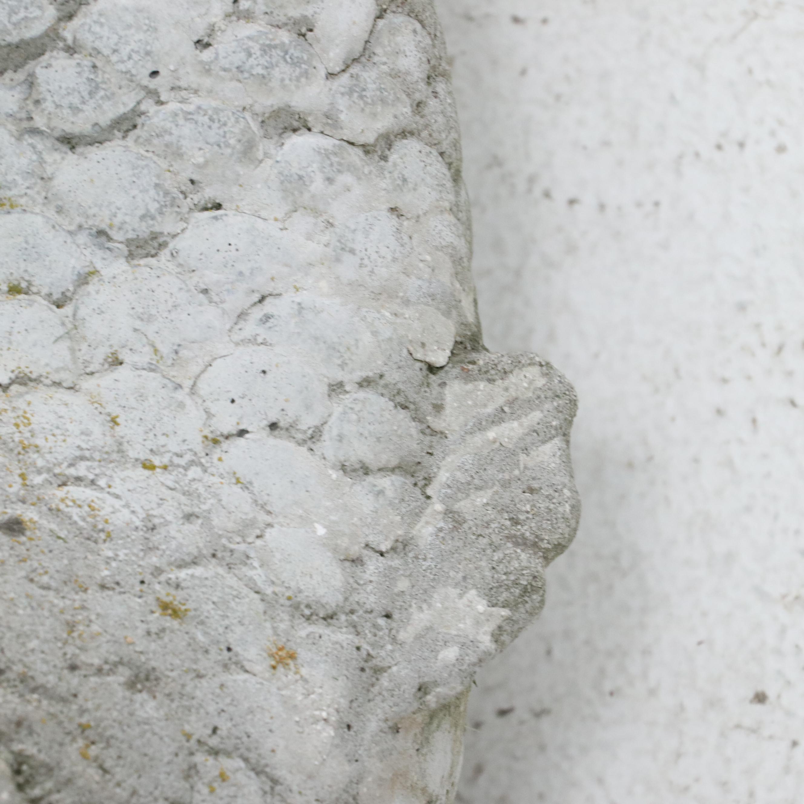 Baroque Style Dolphin Concrete Garden Sculptural Fountain