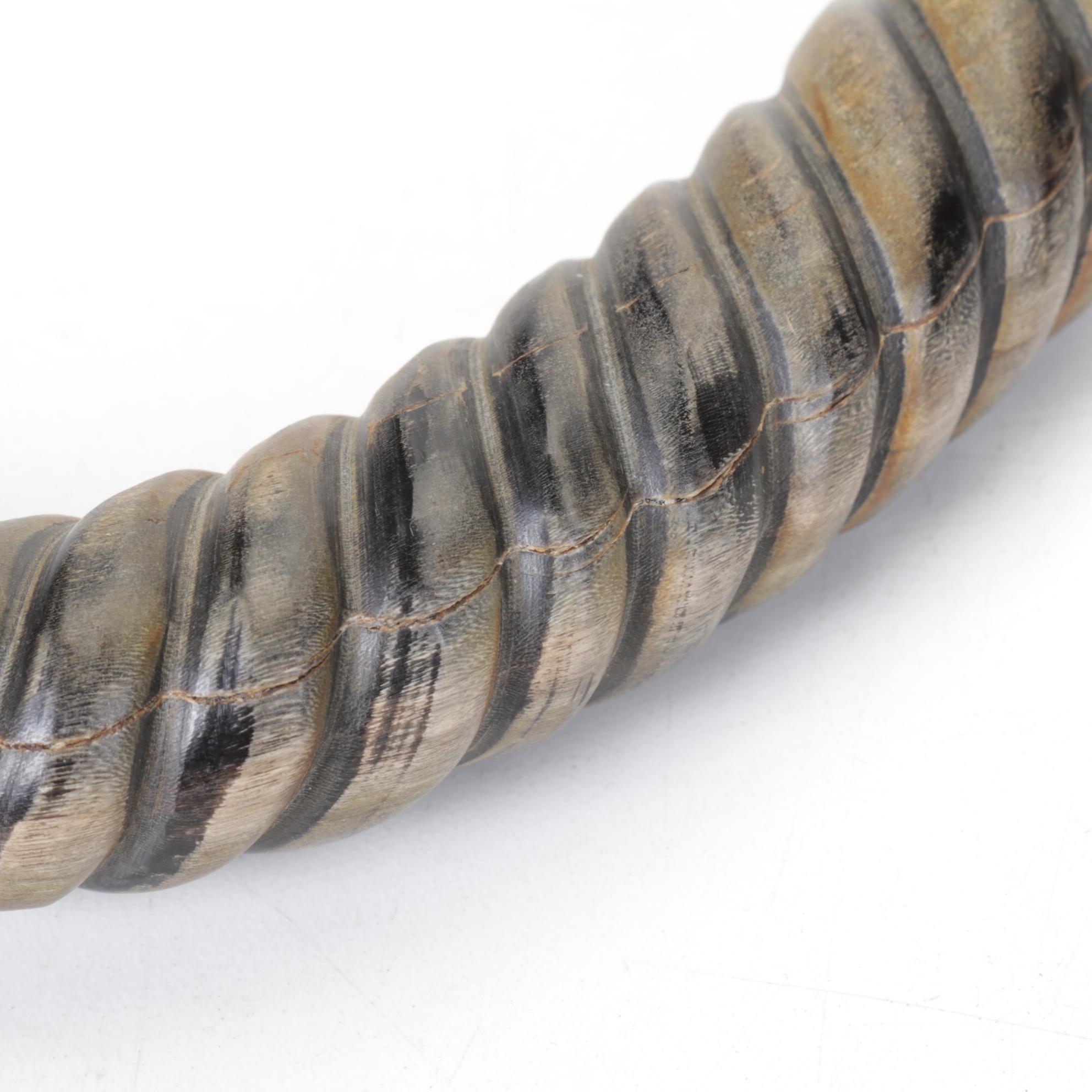 Carved Horn Handle and Brass Magnifying Glass