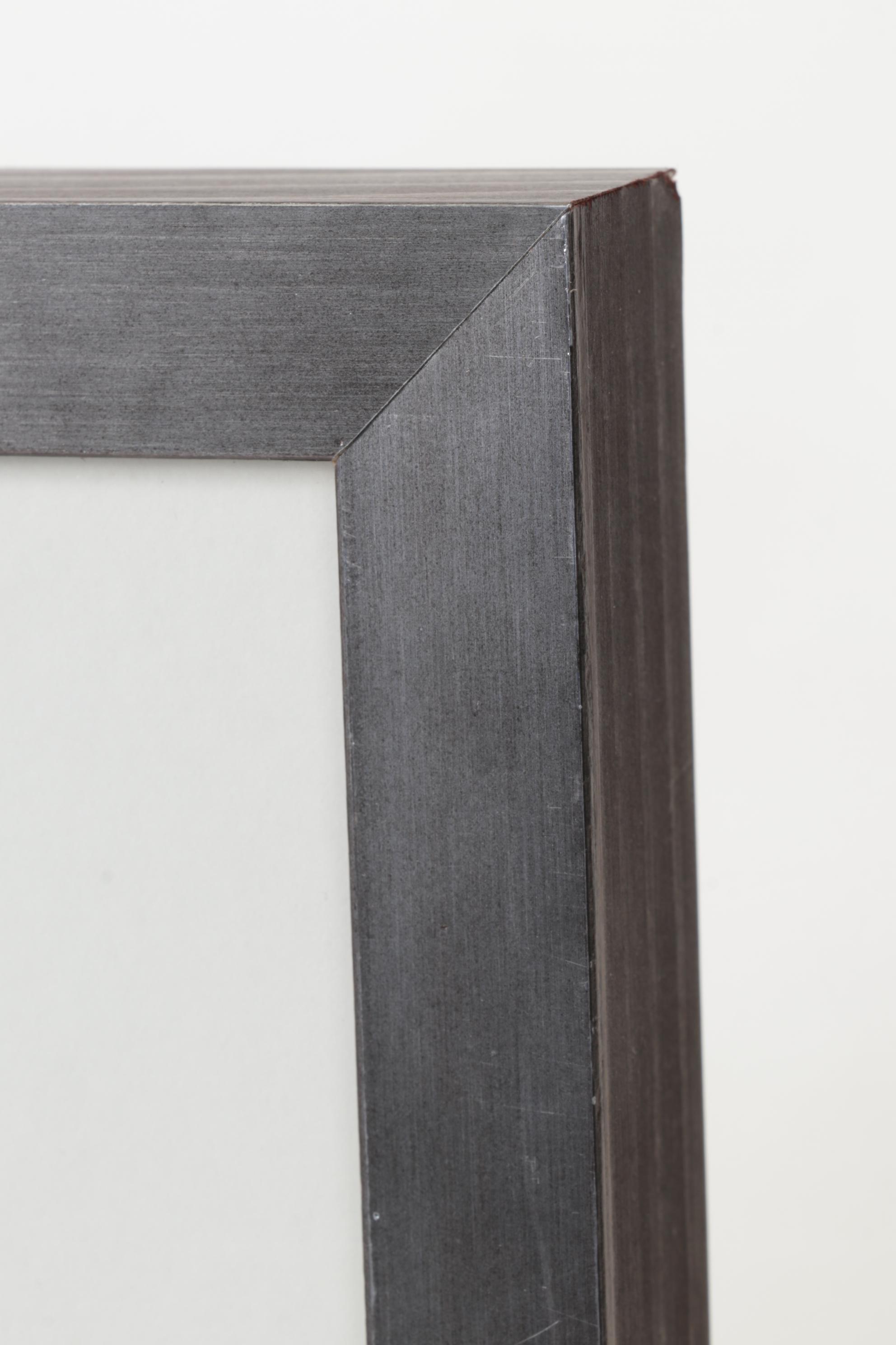 Offset Lithograph After Charley Harper "Brief Bio (Luna Moth)"