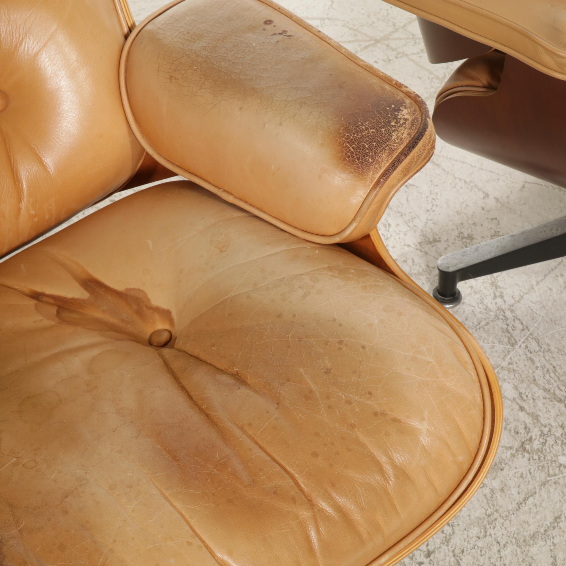 Three Charles and Ray Eames for Herman Miller Wood Lounge Chairs and One Ottoman