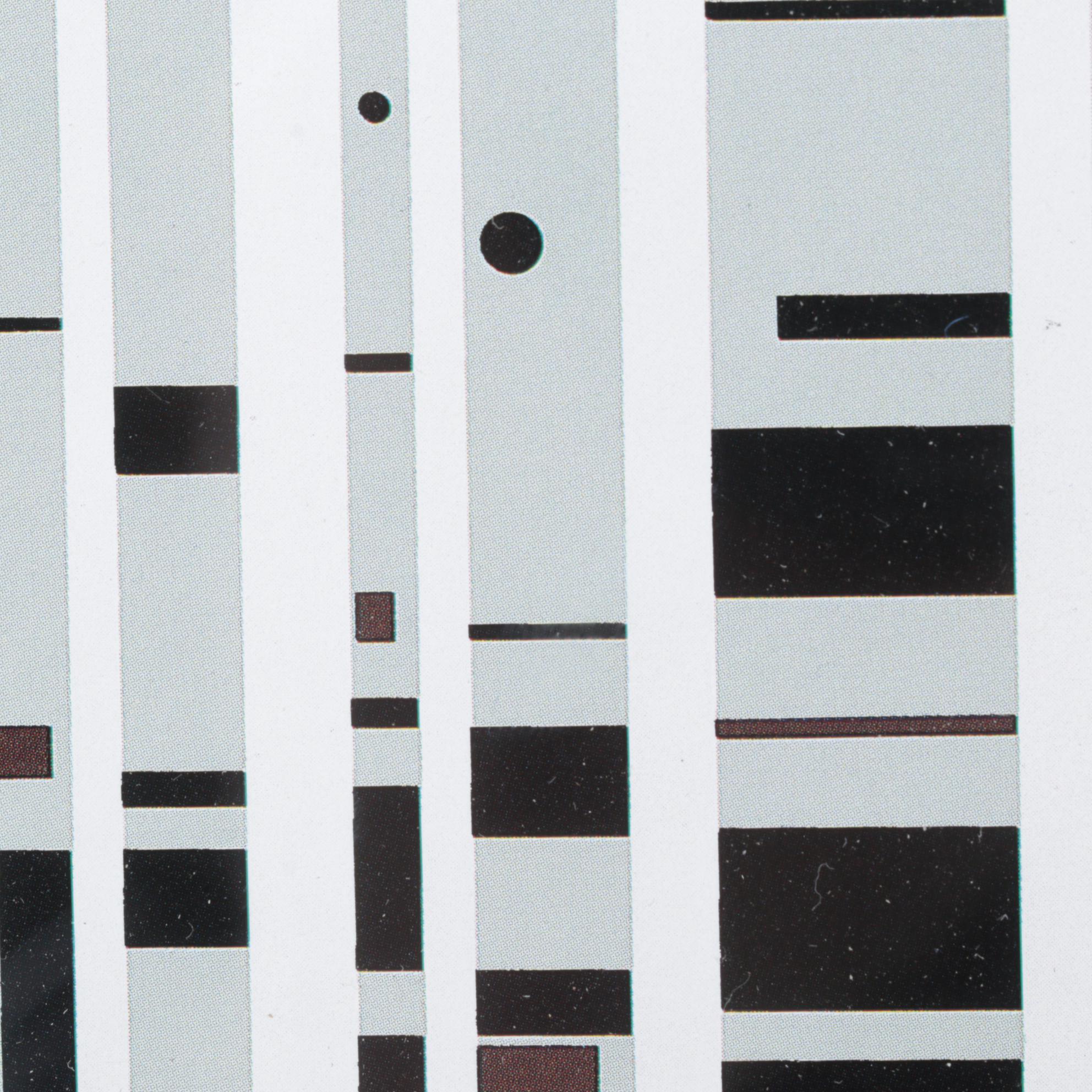 Offset Lithograph After Charley Harper "Bear In The Birches"