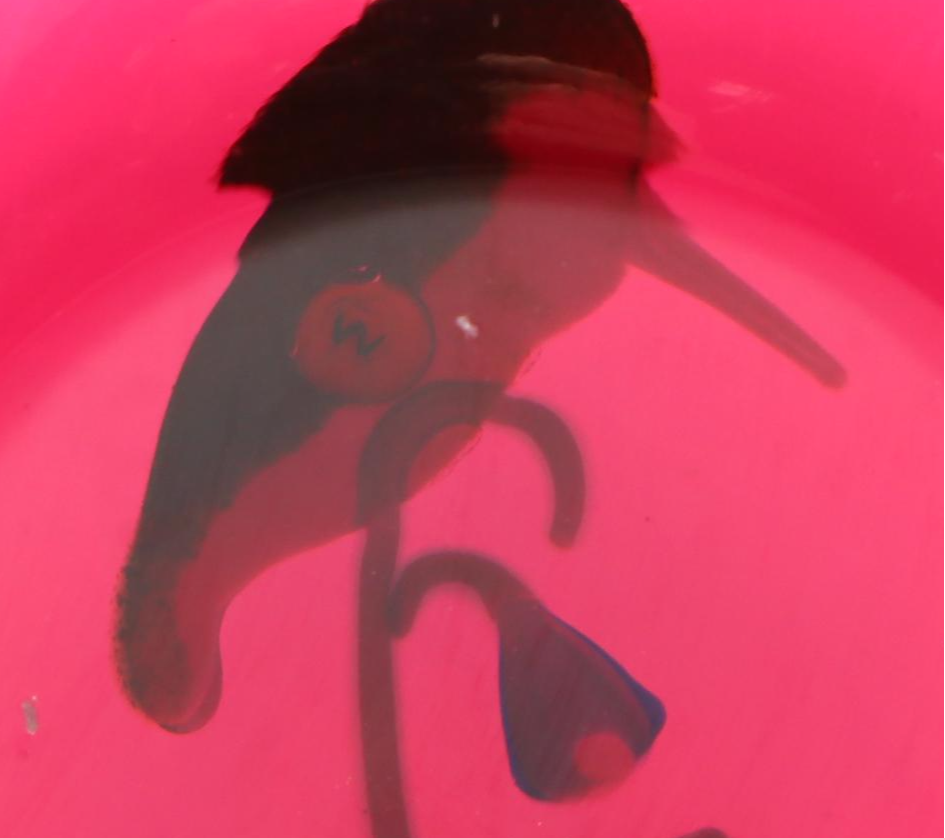 Francis Whittemore Handcrafted Floral and Bird Studio Art Glass Paperweights