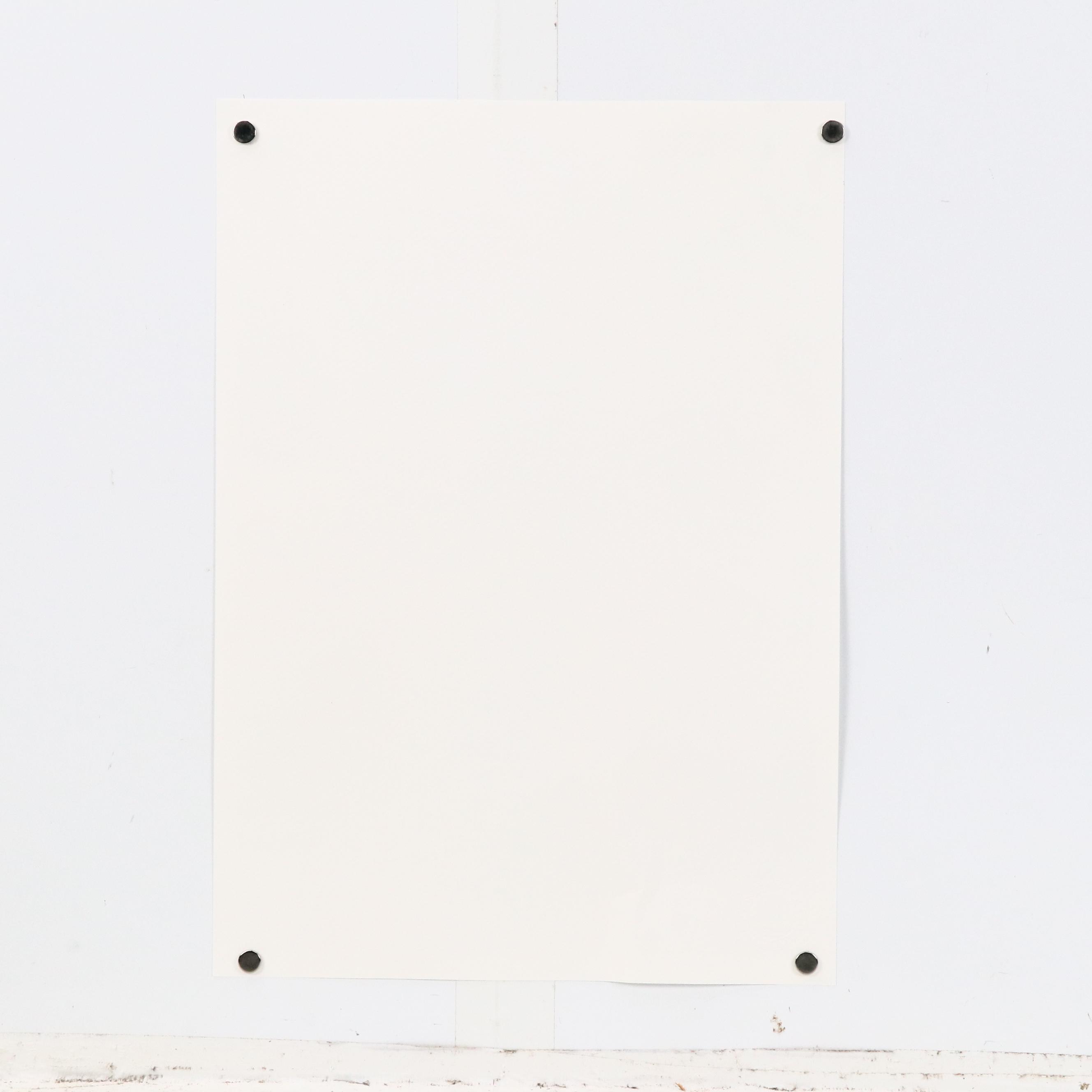 Death NYC Pop Art Digital Print Featuring Chanel x Affluent Peacock, 2024