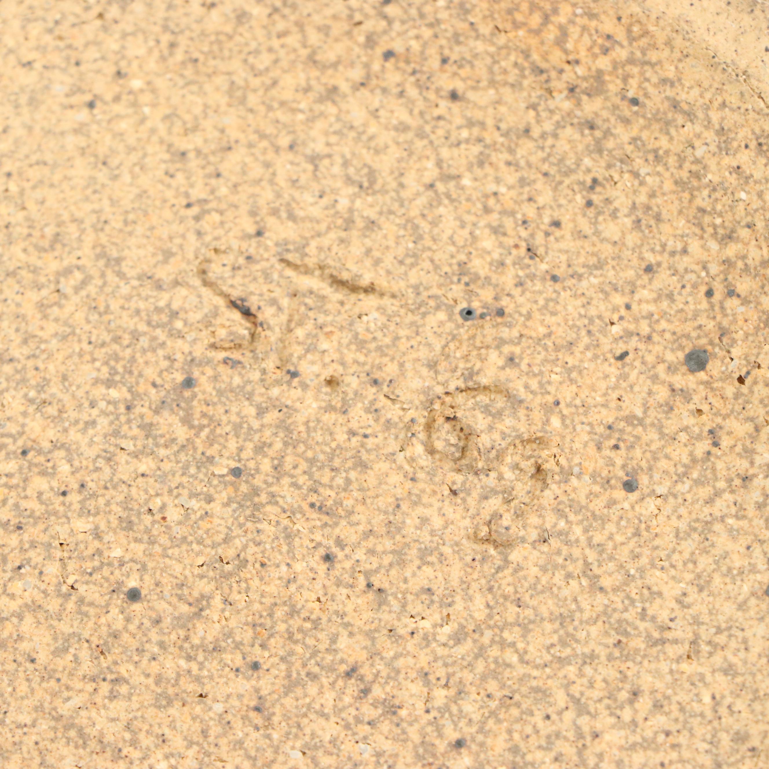 Artist Signed Ceramic Seven Spout Vase