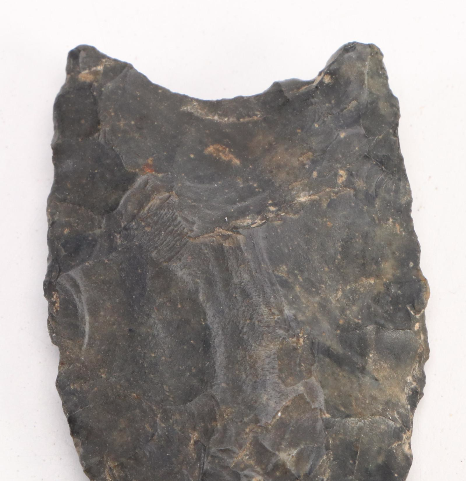 Coshocton Chert Unfluted Clovis Point, Paleo Period