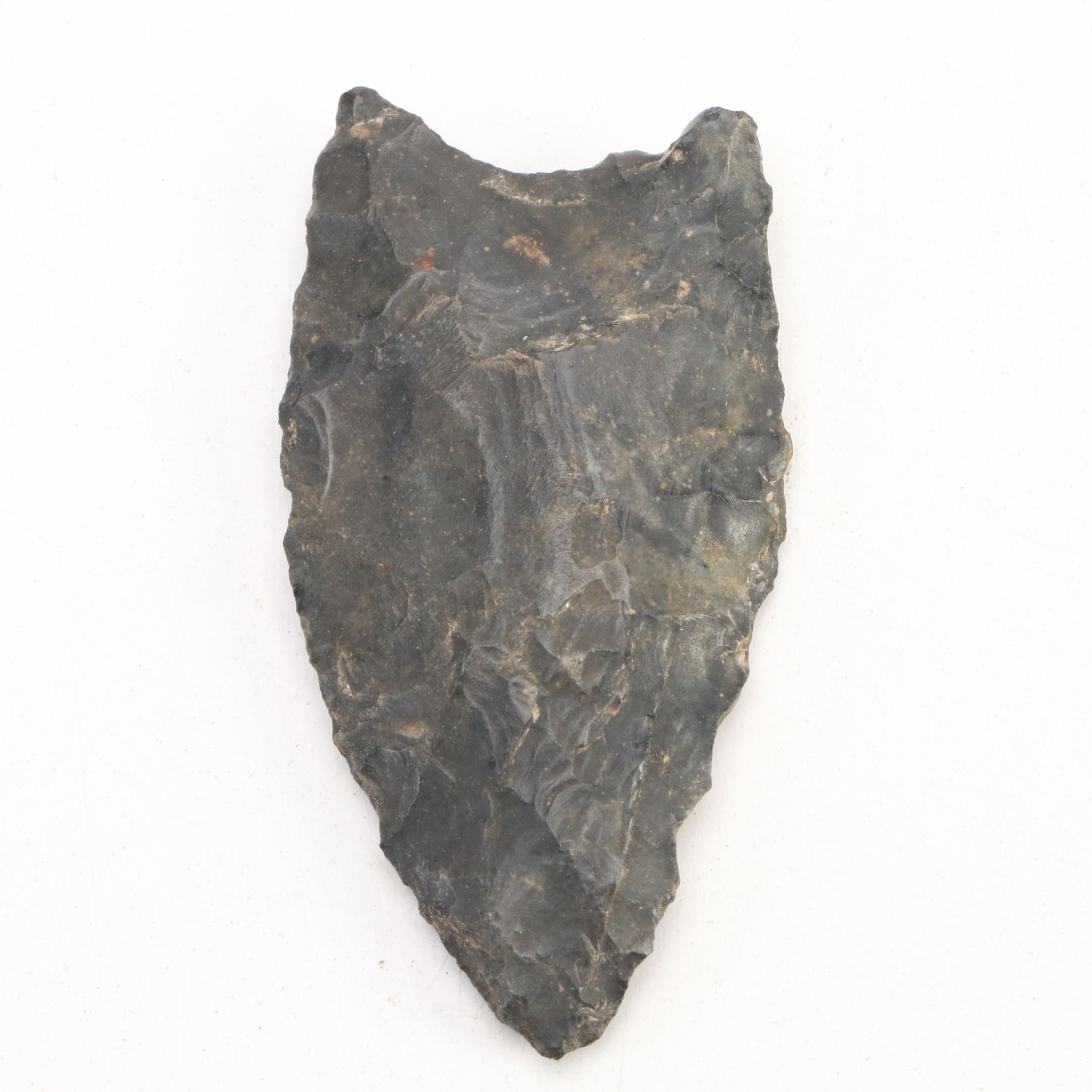 Coshocton Chert Unfluted Clovis Point, Paleo Period
