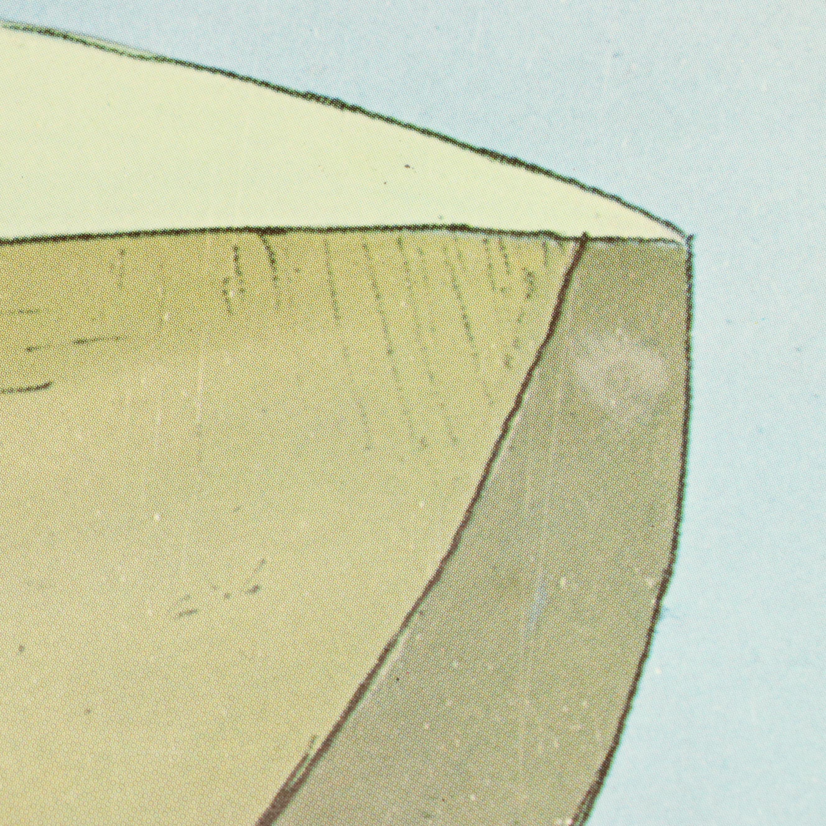 Disney "The Aristocats" Offset Lithograph Stills