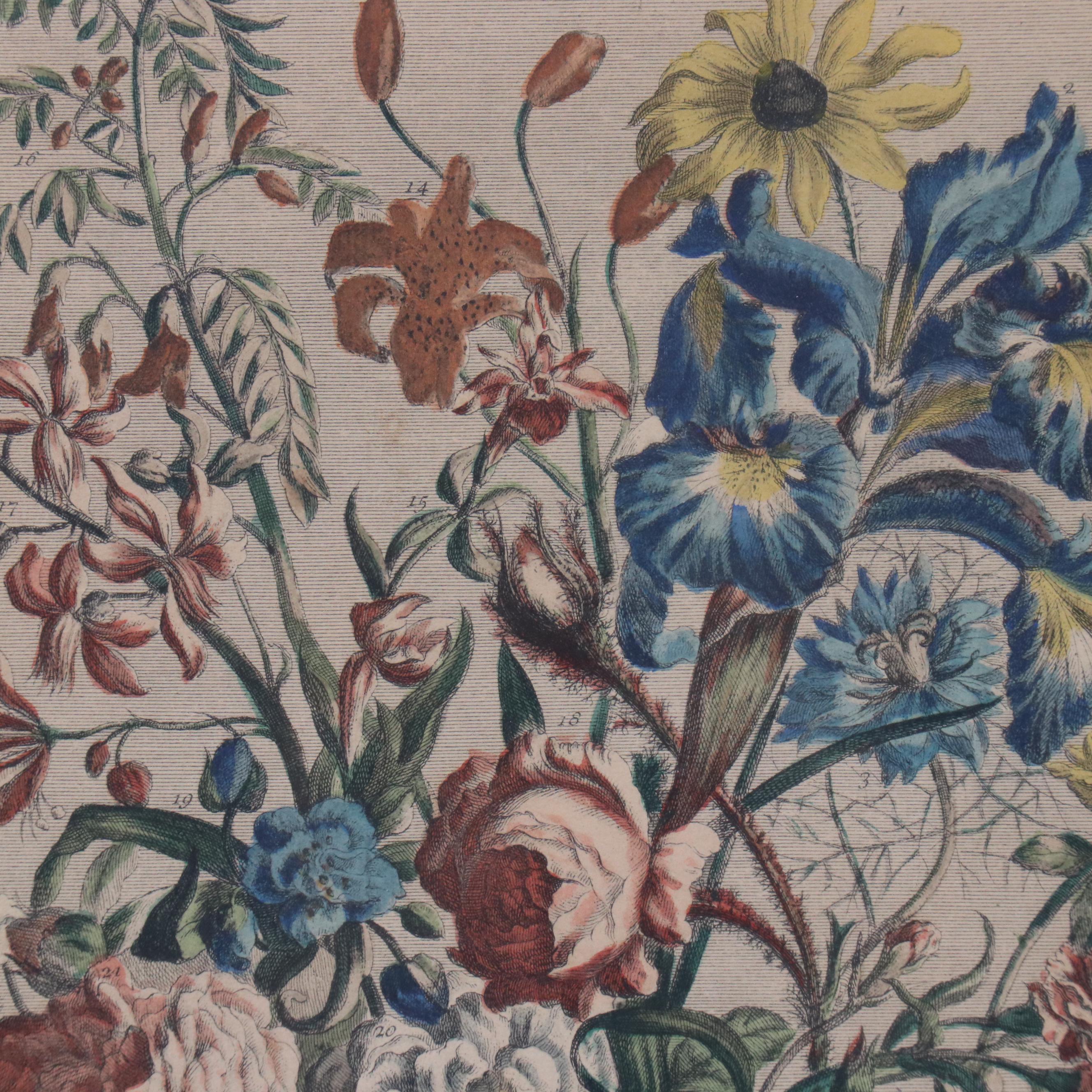 Botanical Hand-Colored Collotype After Robert Furber "June"