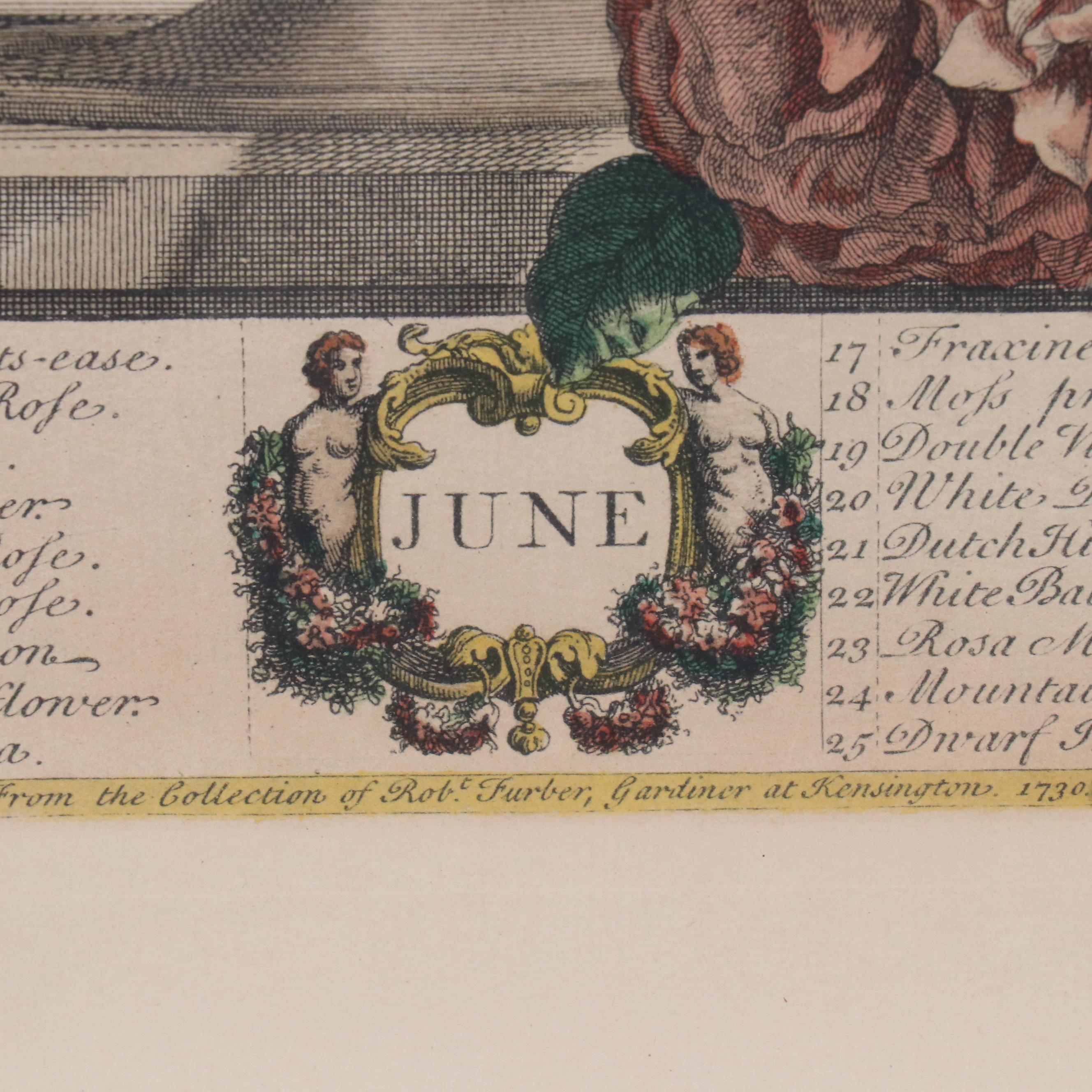 Botanical Hand-Colored Collotype After Robert Furber "June"