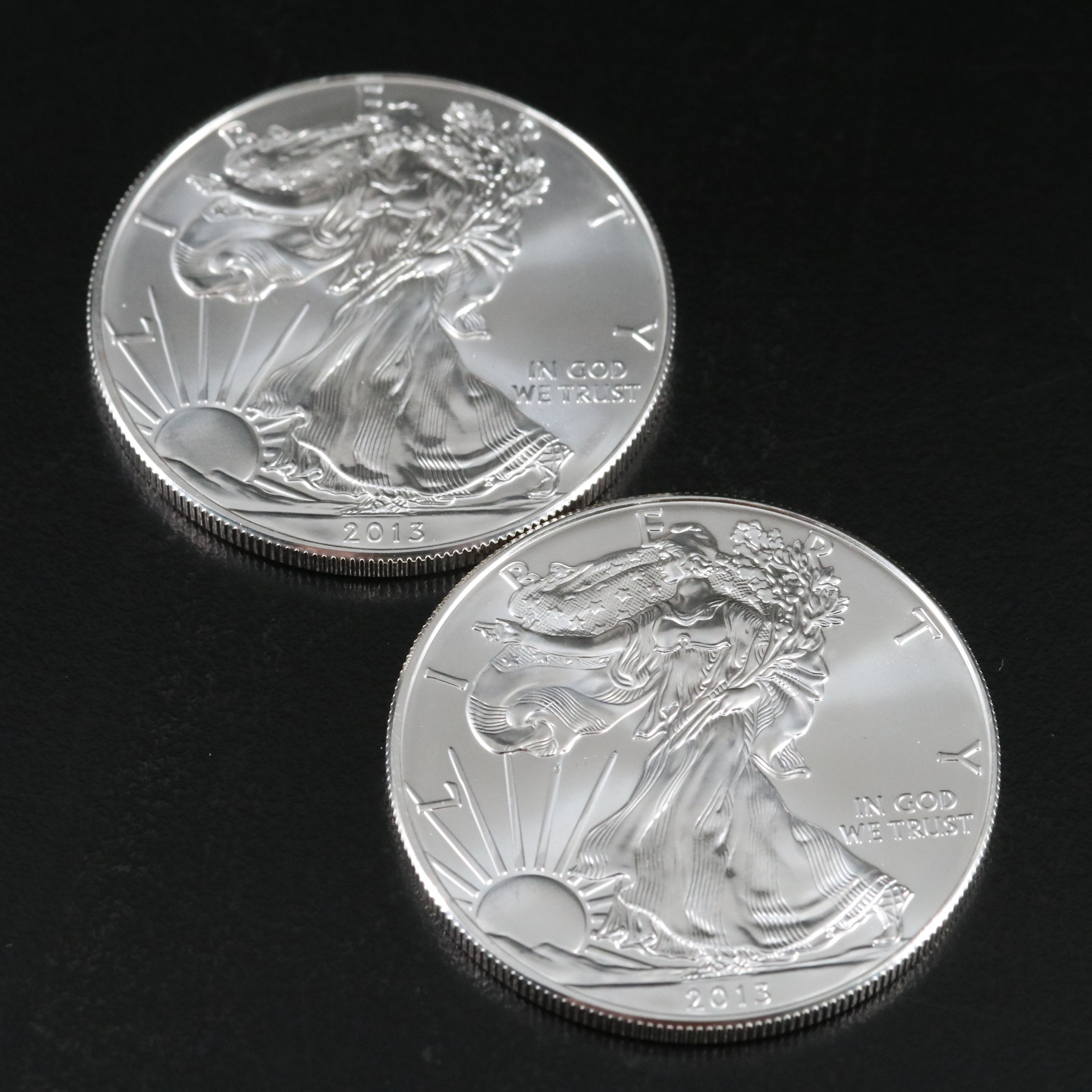 Roll of Twenty 2013 American Silver Eagle Bullion Coins