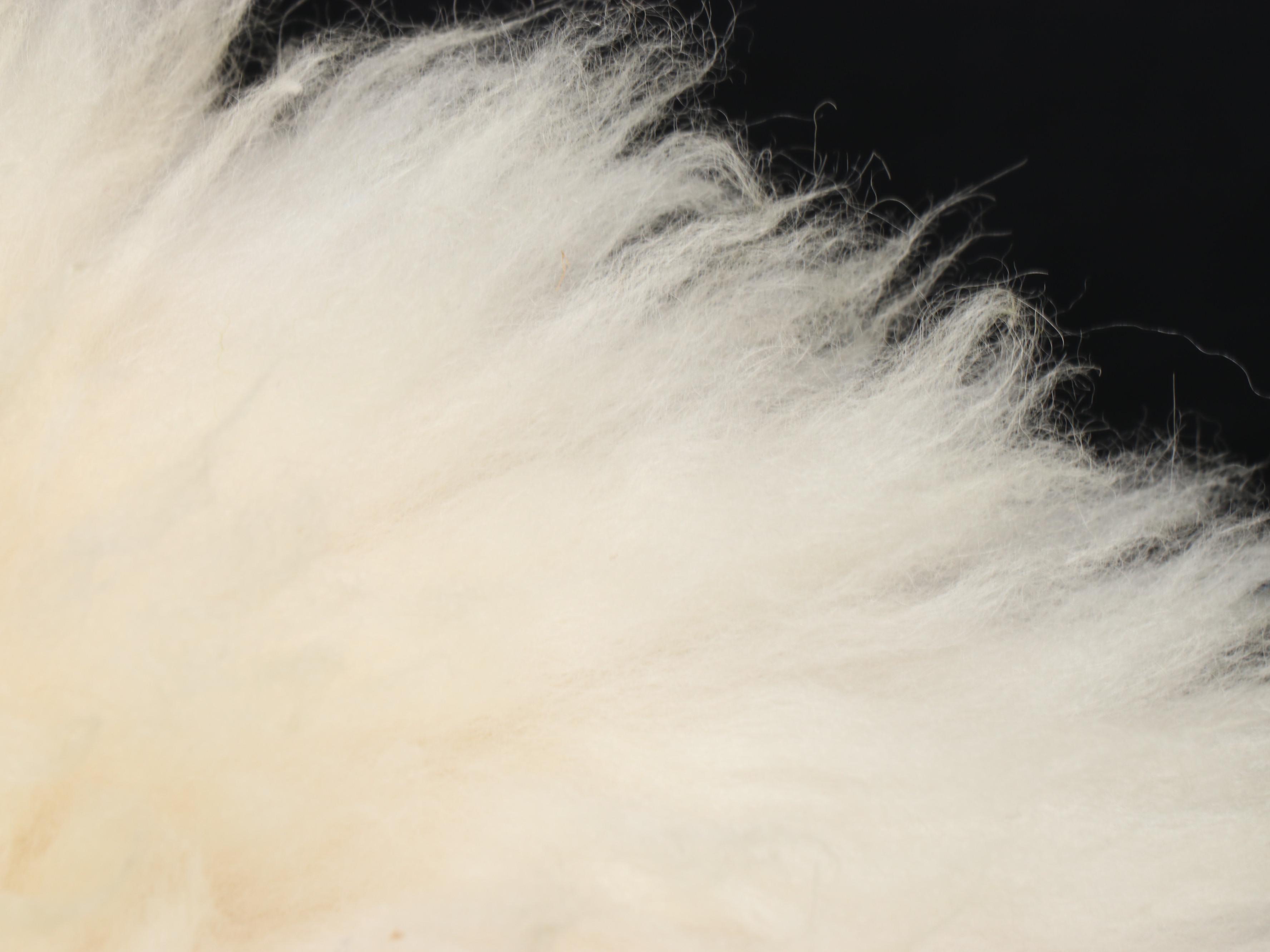 Peruvian Great American Fur Co. Alpaca Throw Pillow and Blanket