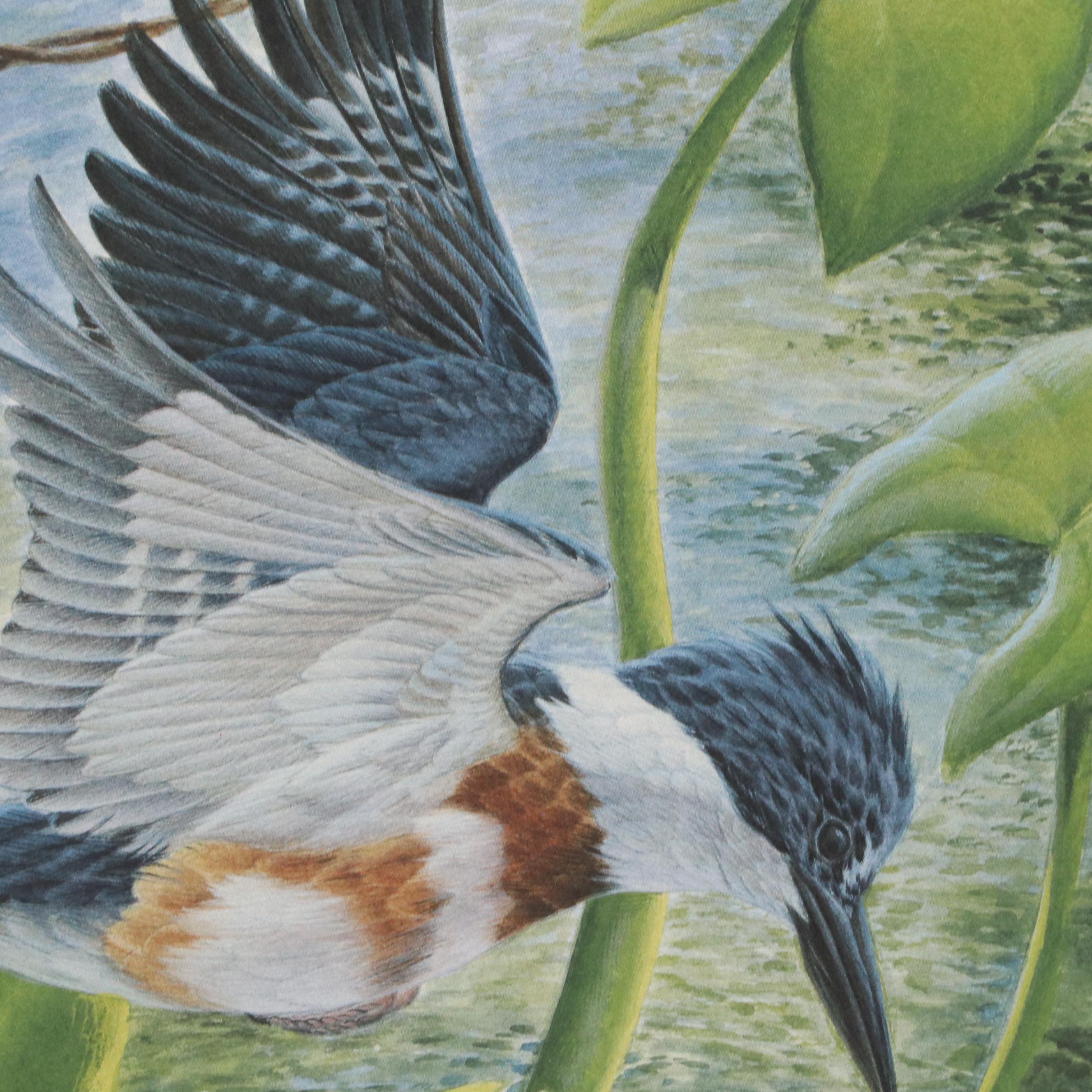 John Ruthven Offset Lithograph "Belted Kingfisher," 1988