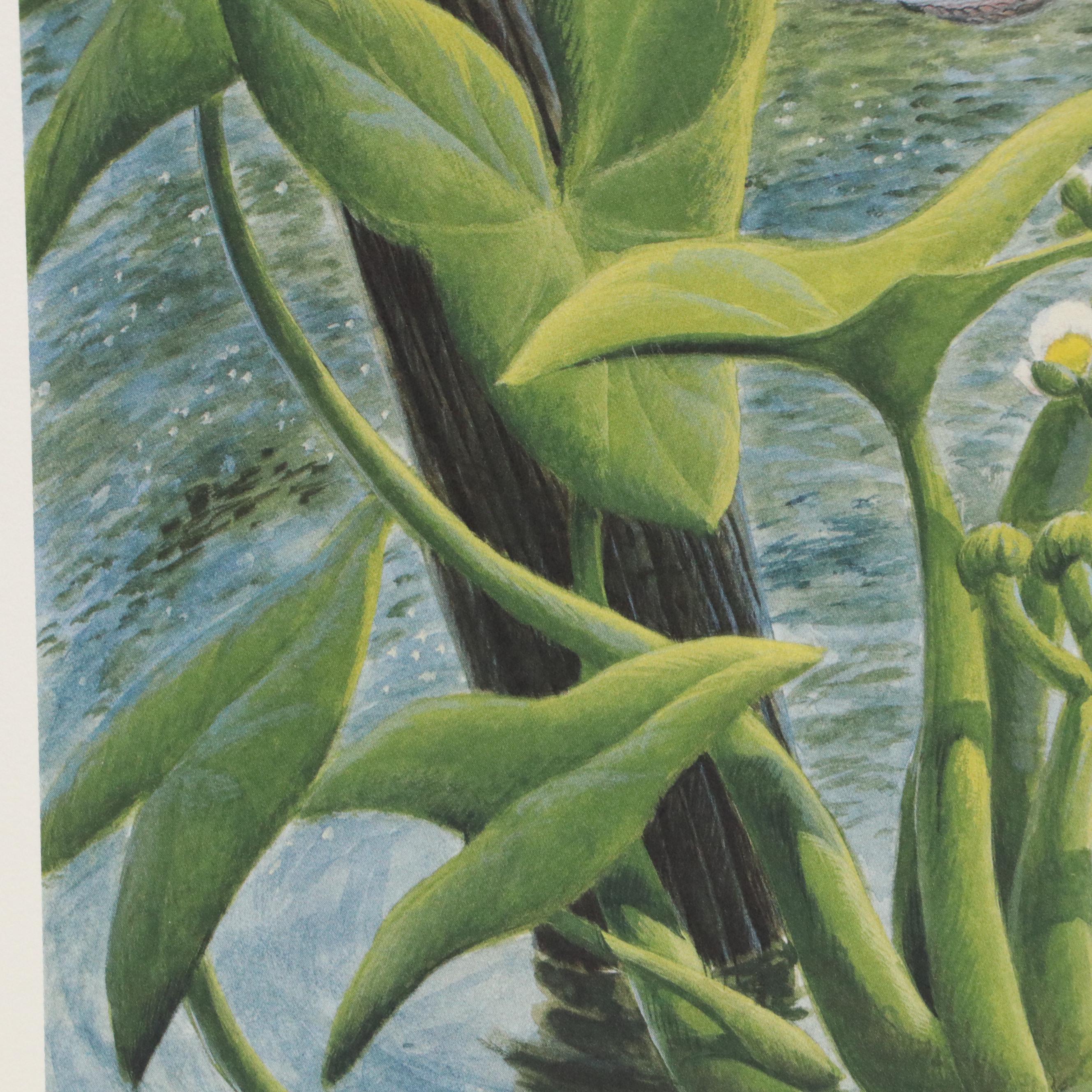 John Ruthven Offset Lithograph "Belted Kingfisher," 1988