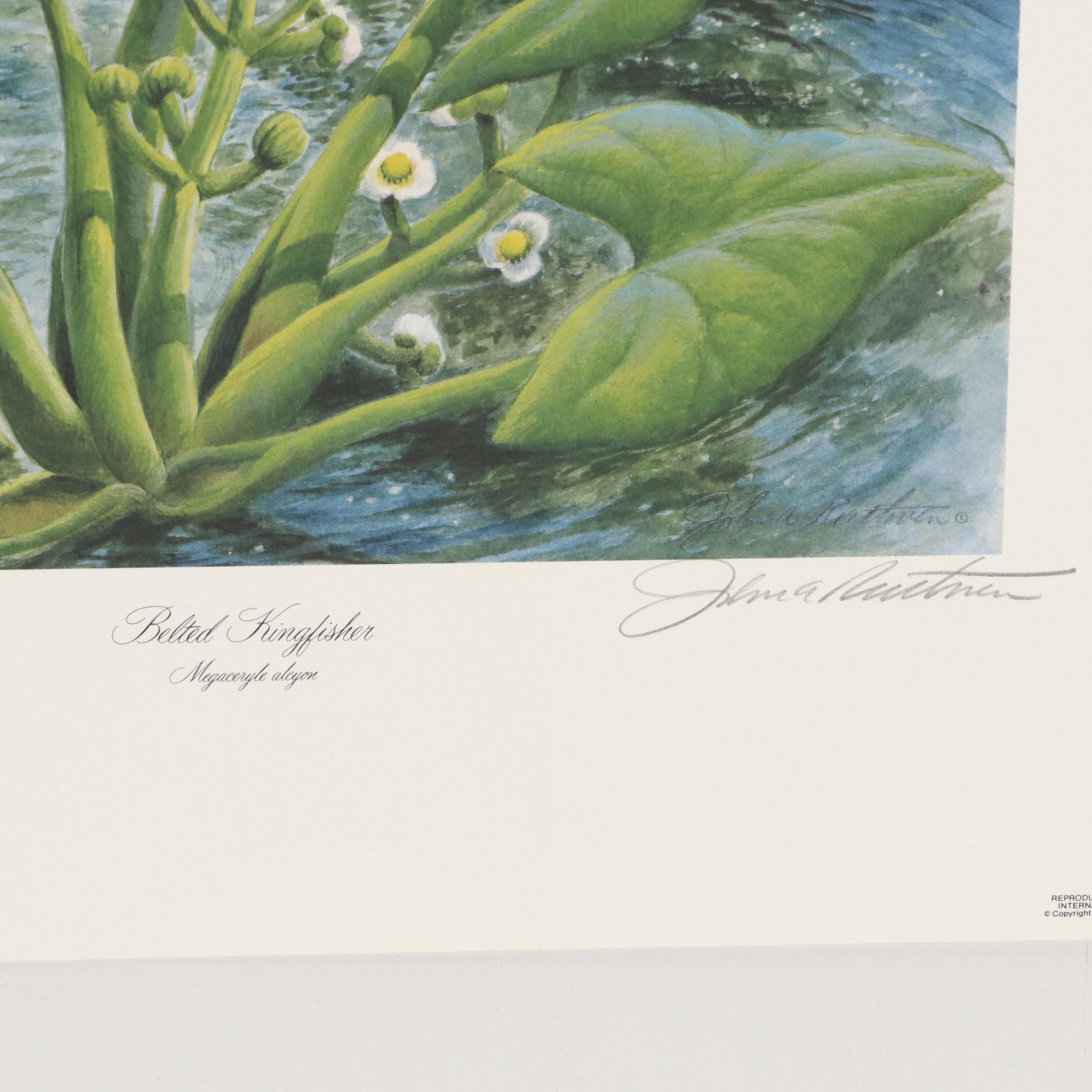 John Ruthven Offset Lithograph "Belted Kingfisher," 1988
