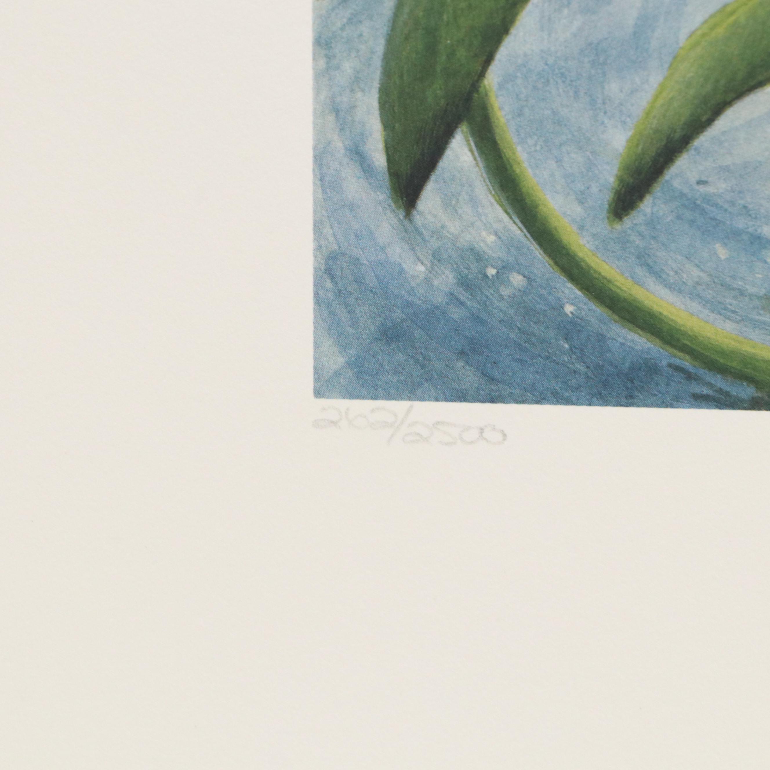 John Ruthven Offset Lithograph "Belted Kingfisher," 1988