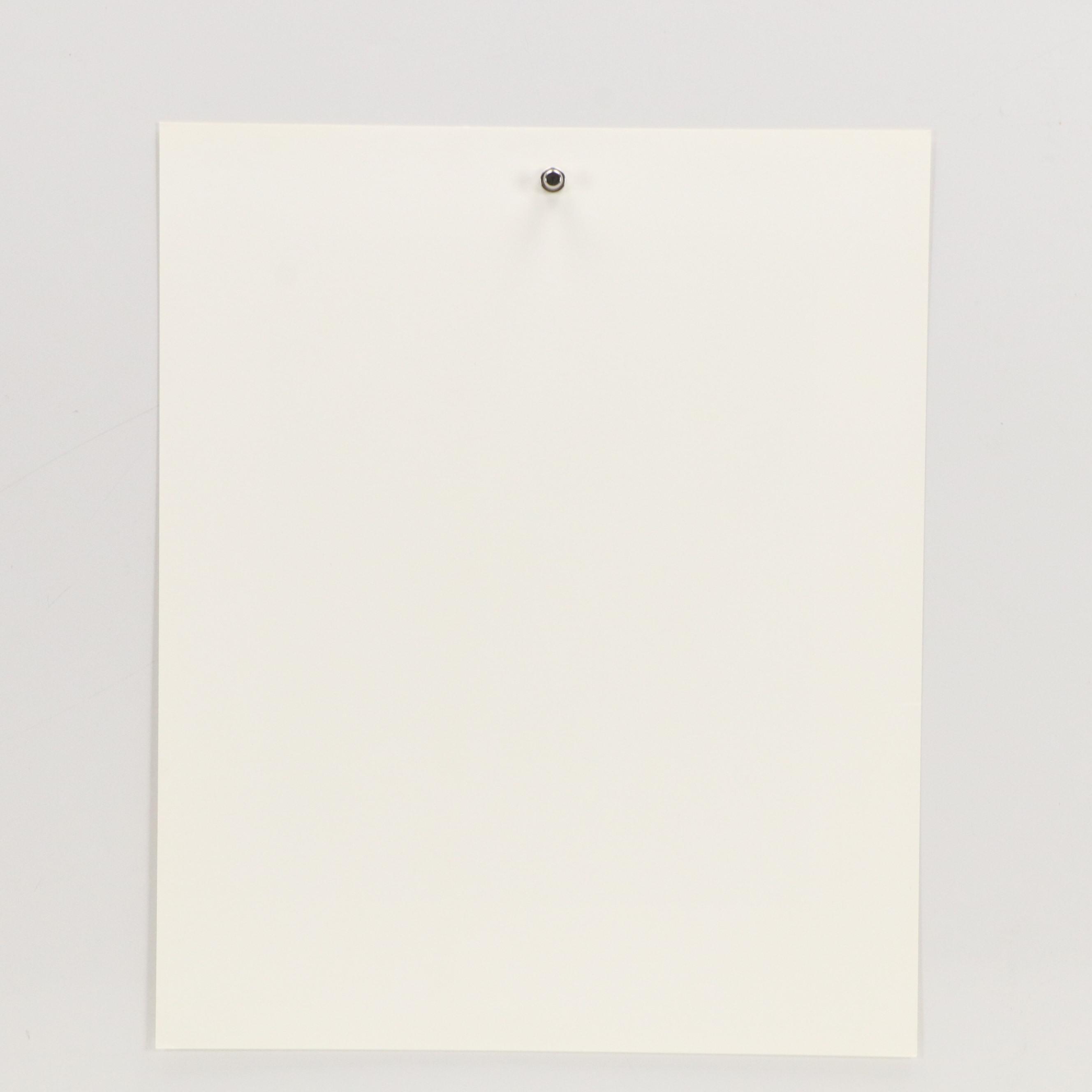 John Ruthven Offset Lithograph "Belted Kingfisher," 1988