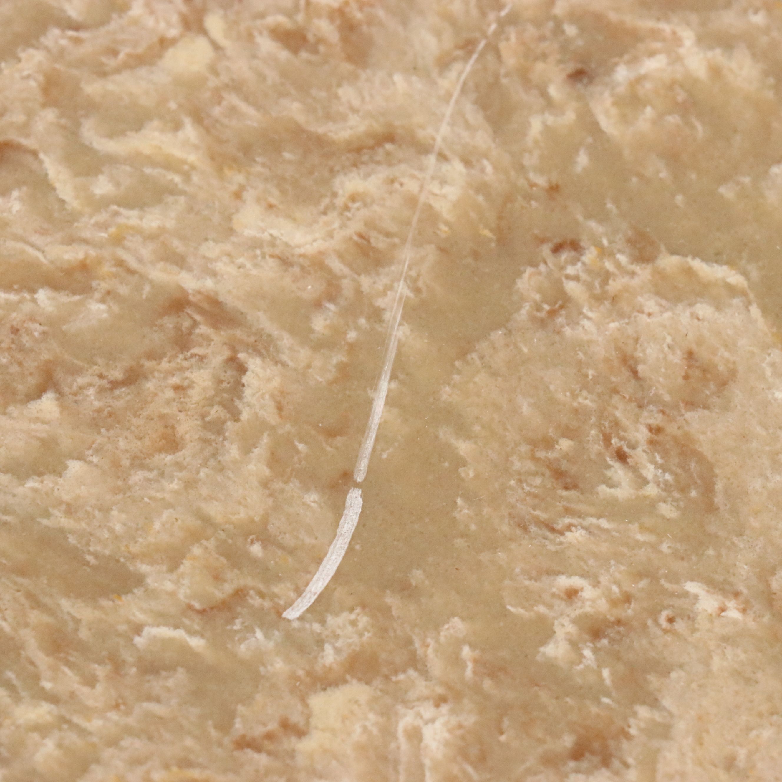 Pair of Stanley Furniture French Regency Style Marble Top Wood Nightstands